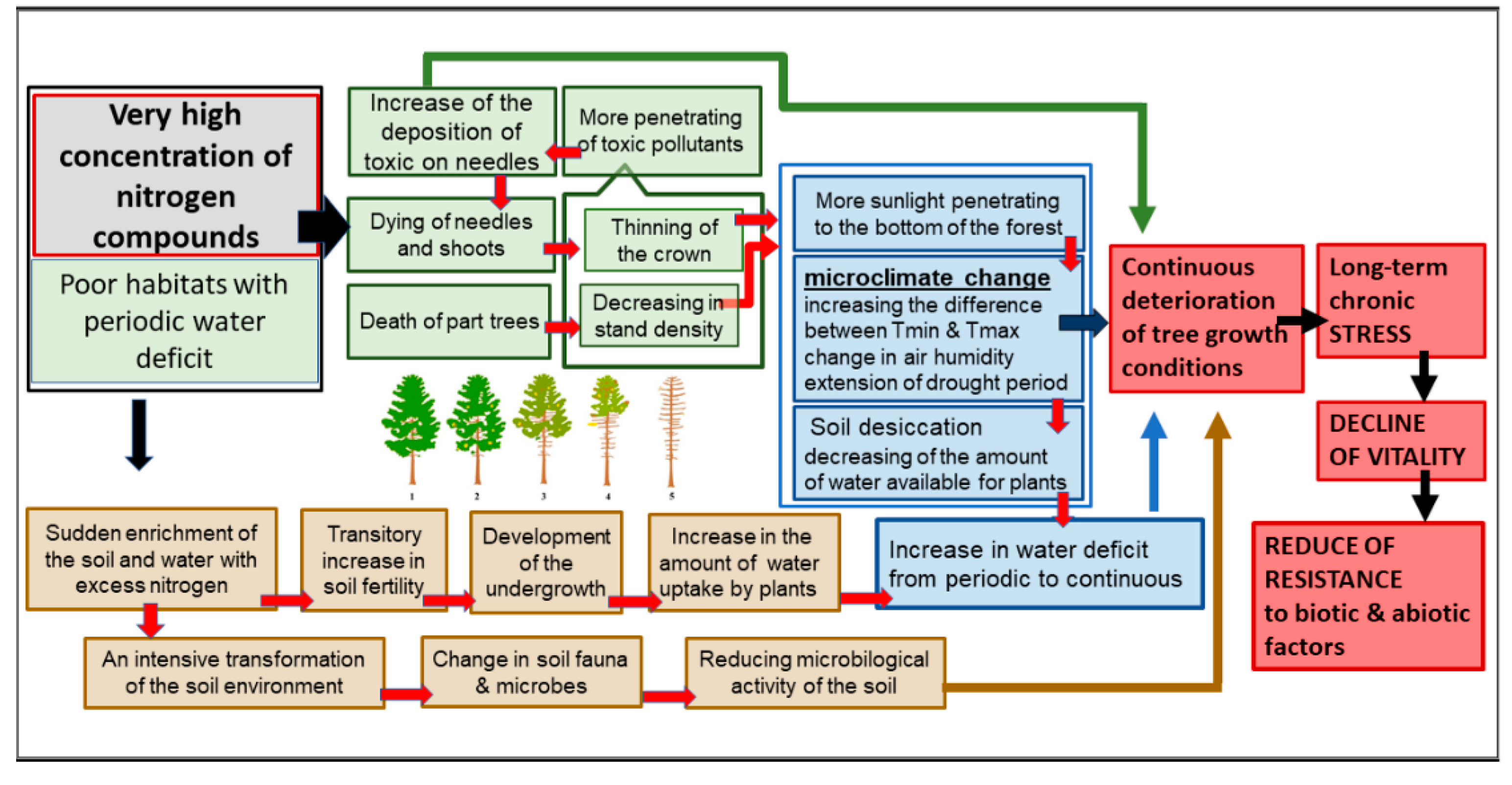 Forests 12 01421 g011