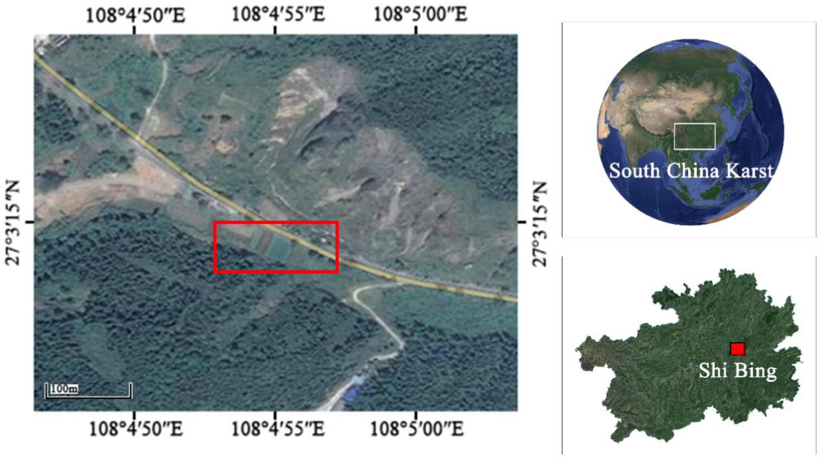 Forests 12 01422 g001