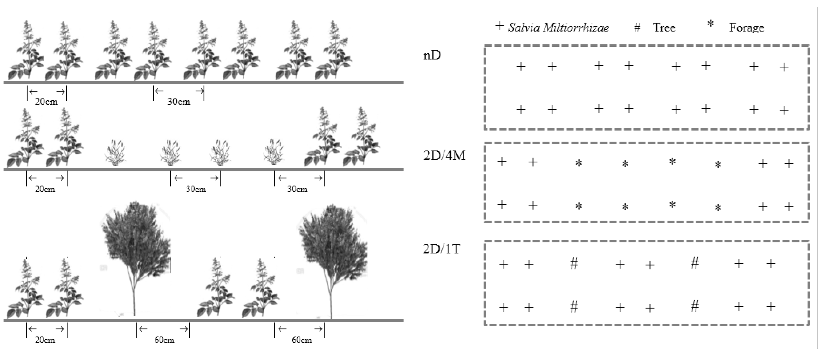 Forests 12 01422 g002