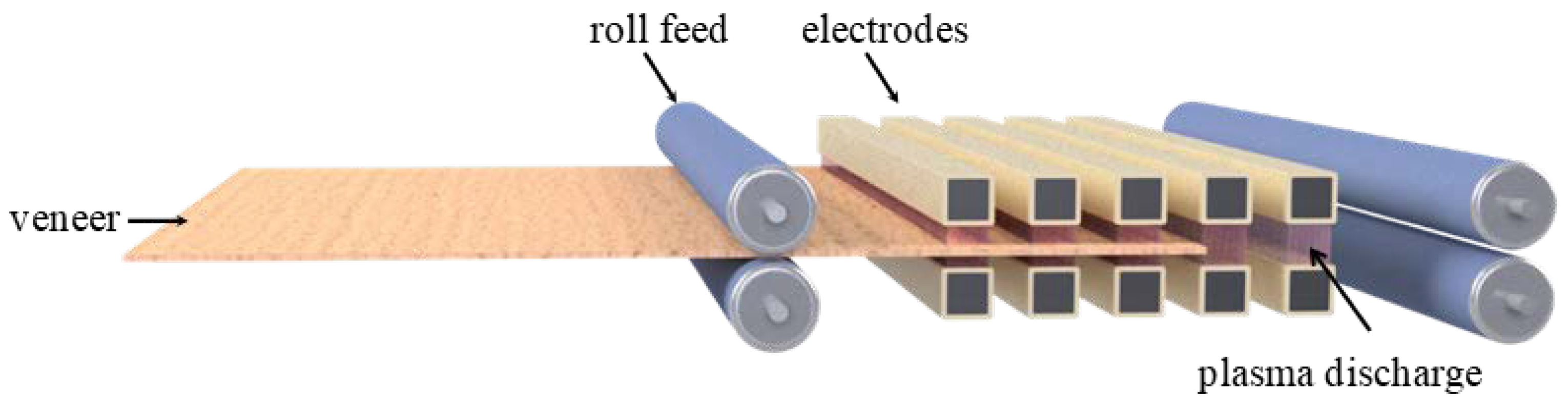 Forests 12 01423 g002