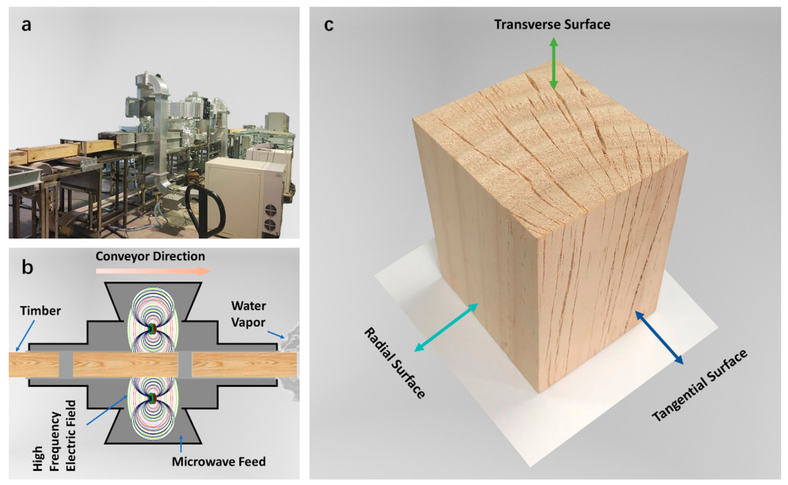 Forests 12 01432 g001