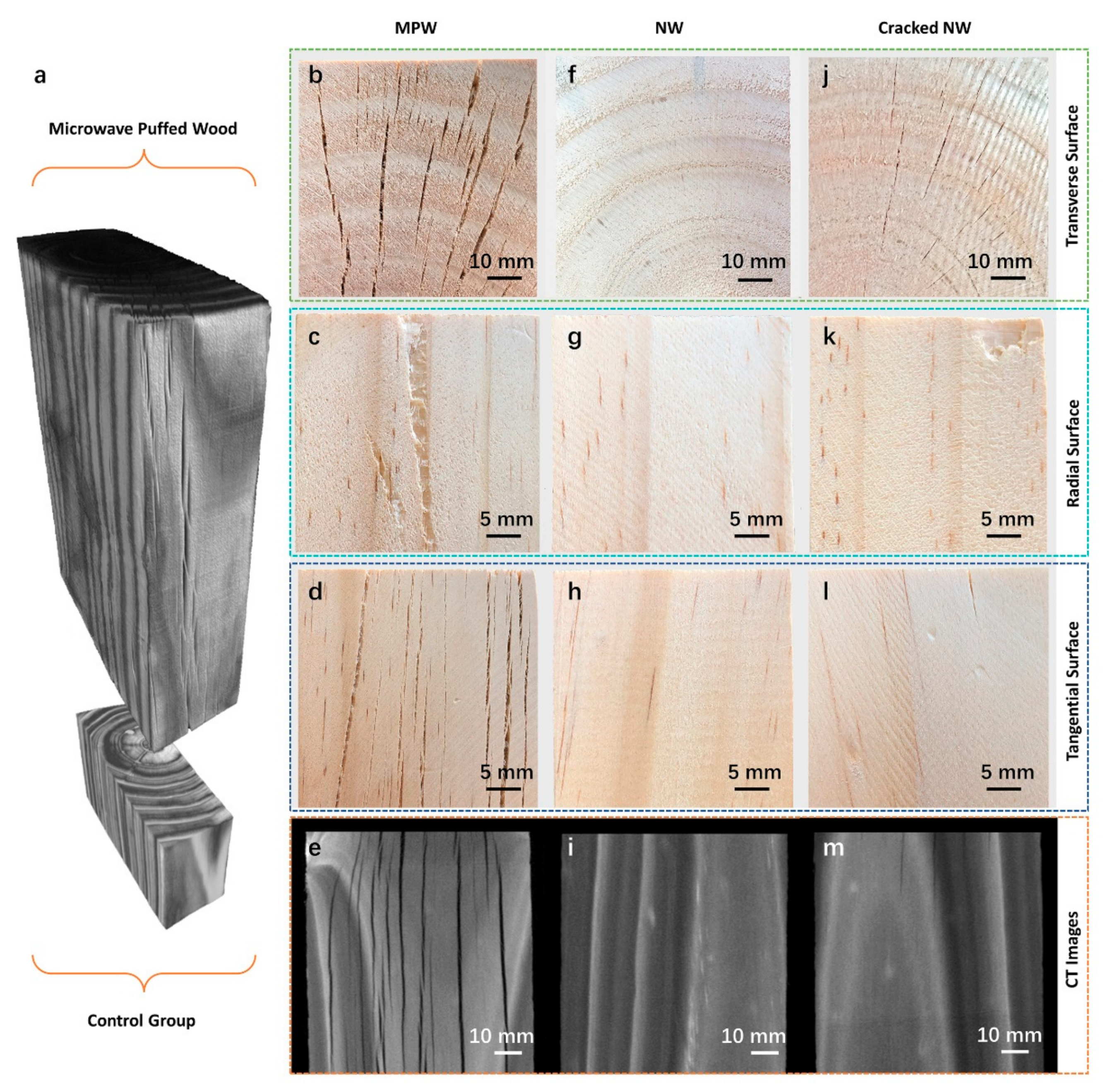 Forests 12 01432 g002