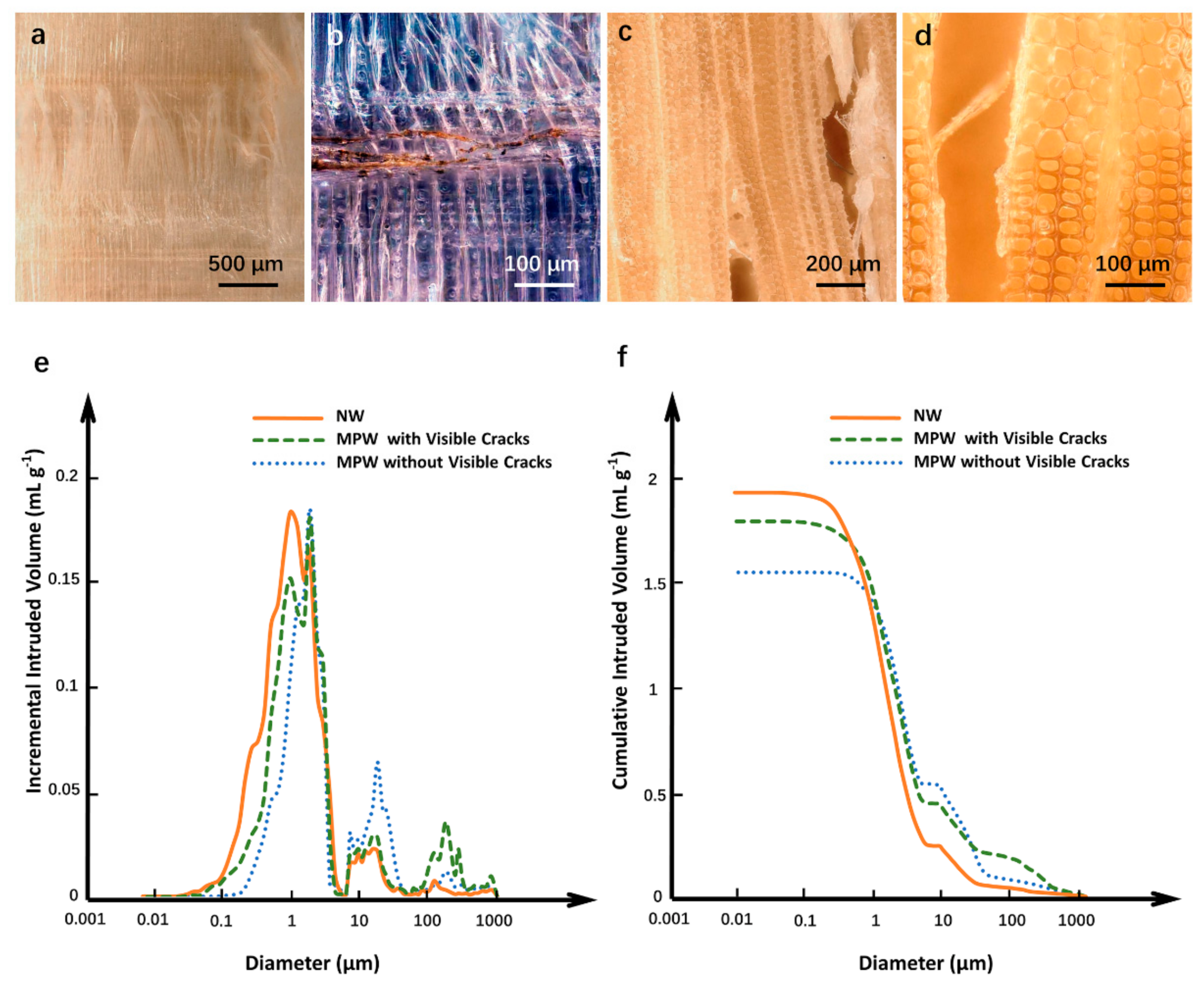 Forests 12 01432 g004