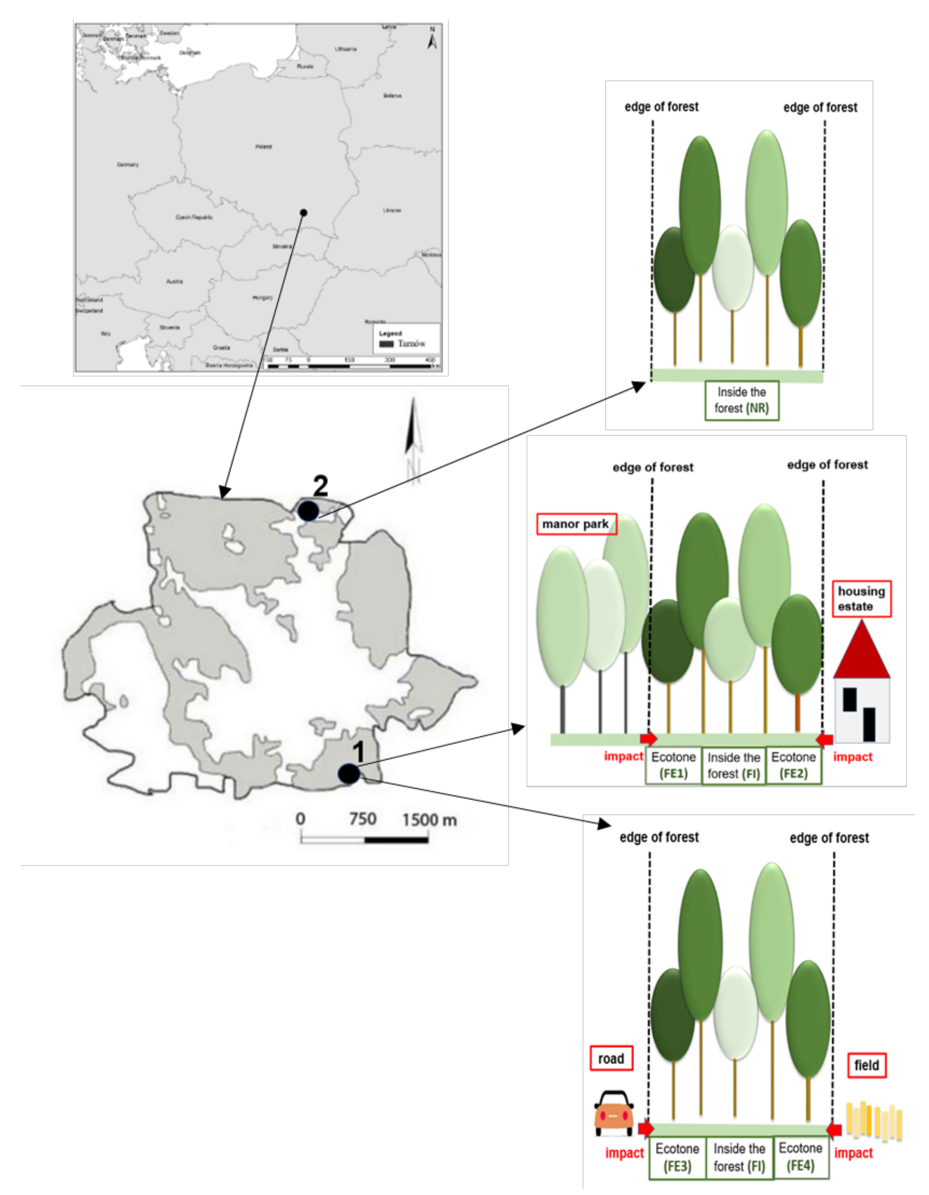 Forests 12 01440 g001