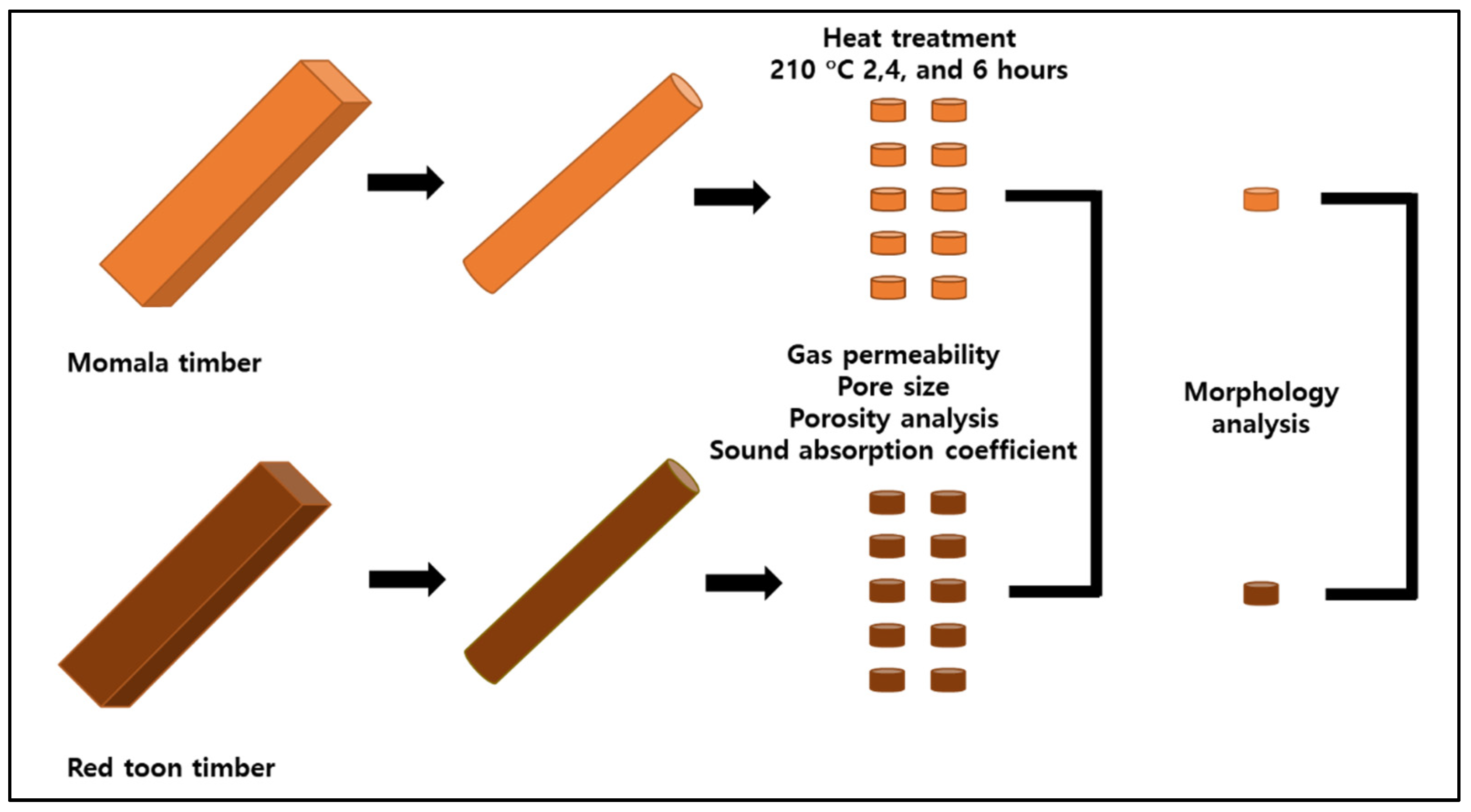 Forests 12 01447 g001