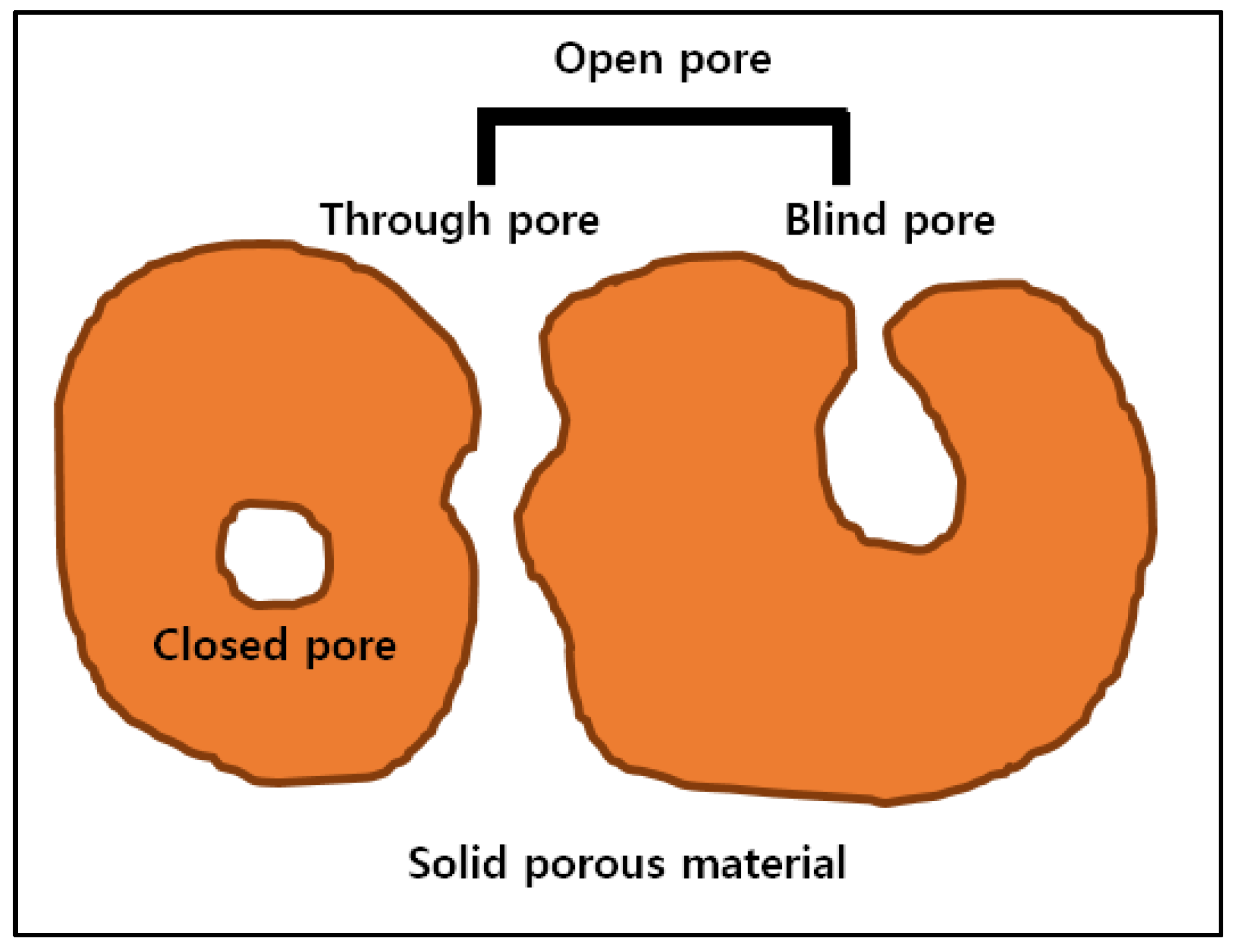 Forests 12 01447 g002
