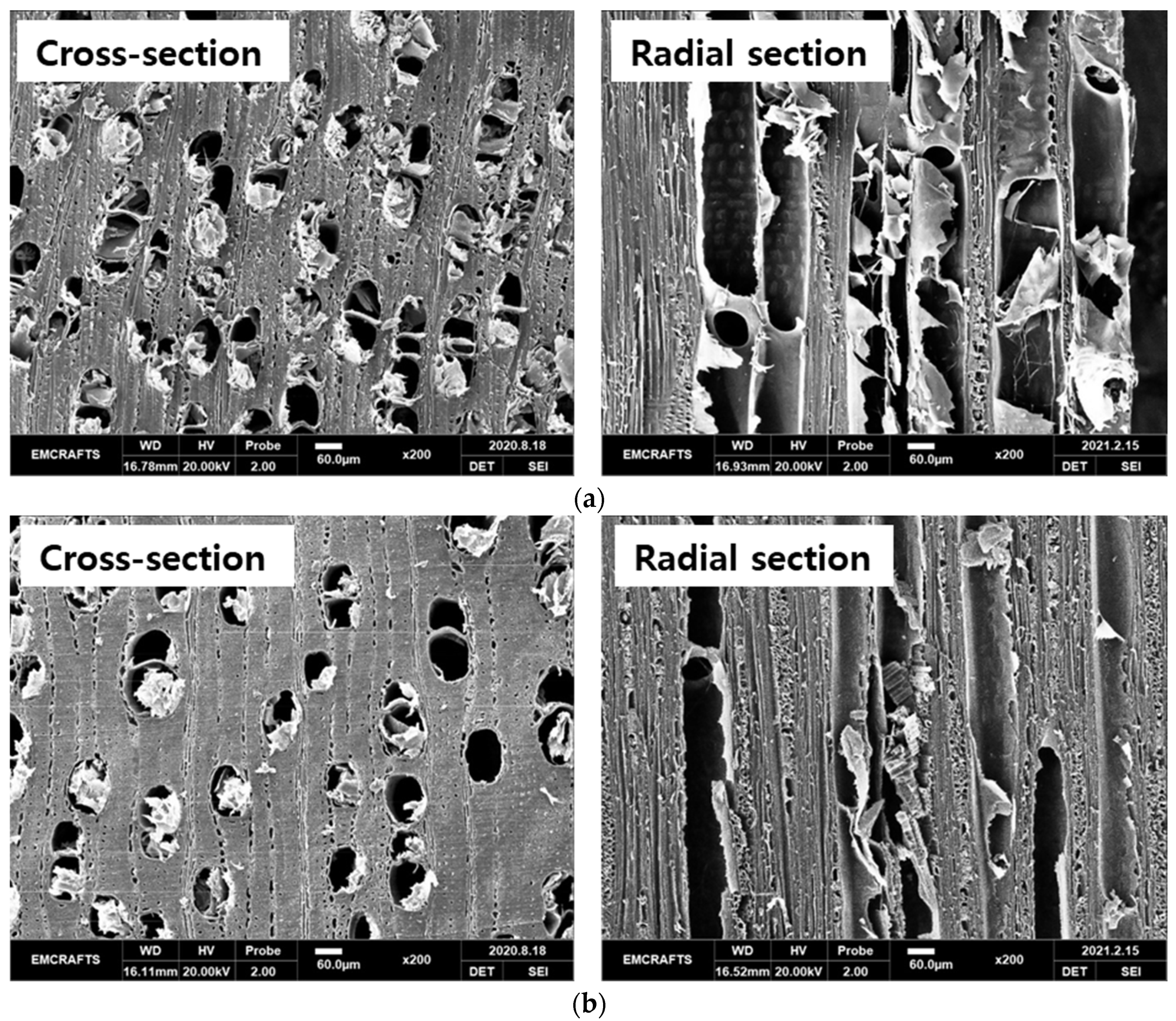 Forests 12 01447 g003a