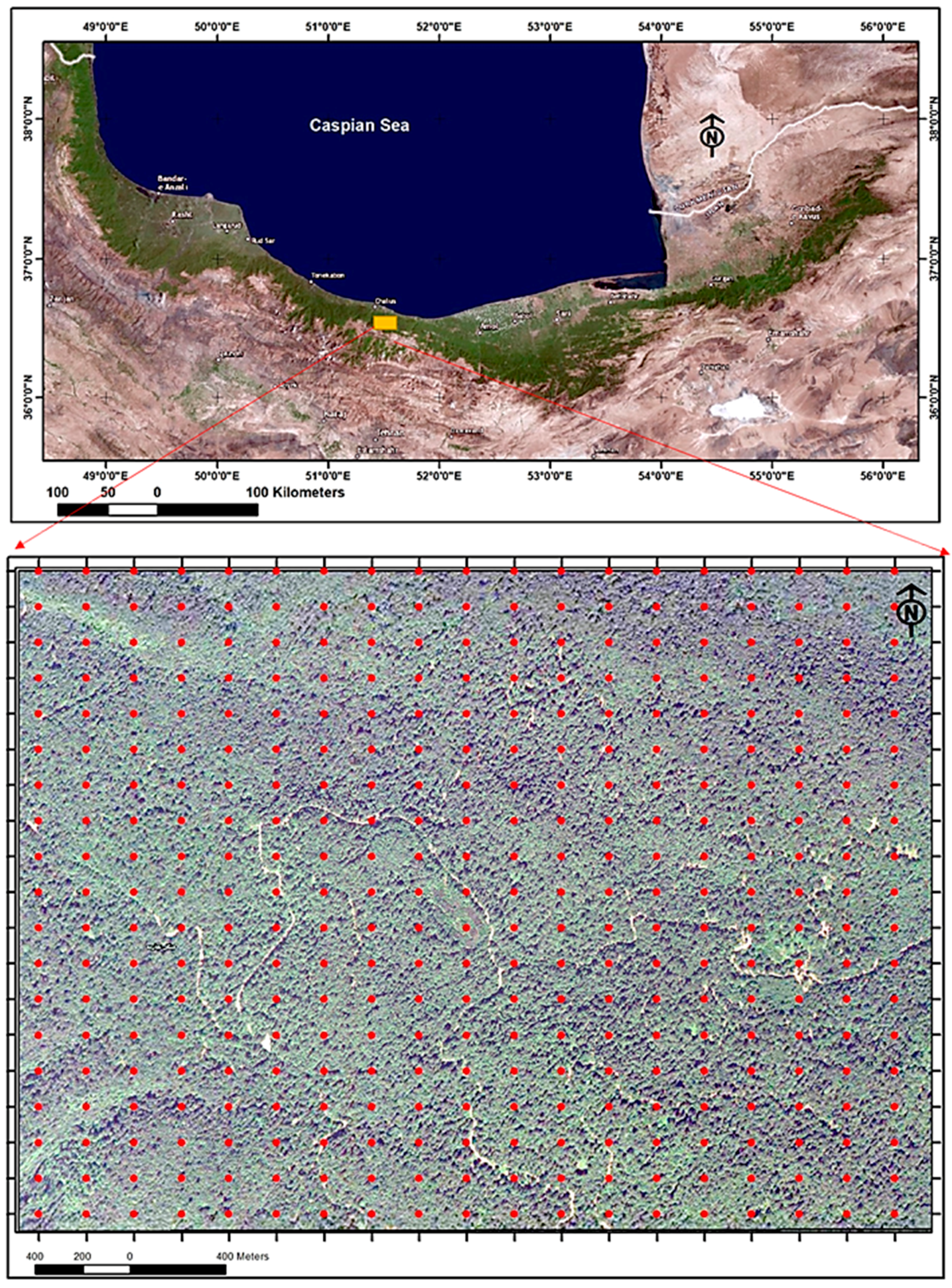 Forests 12 01450 g001