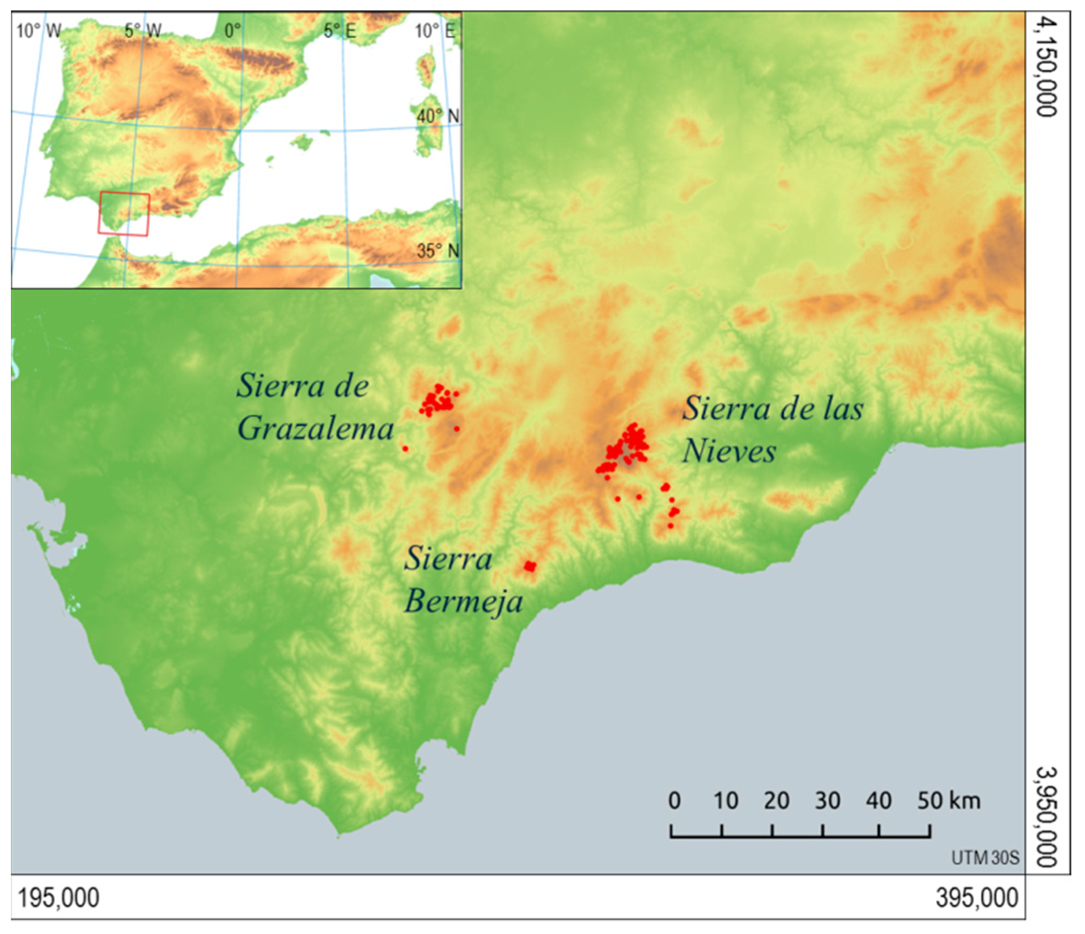 Forests 12 01451 g001