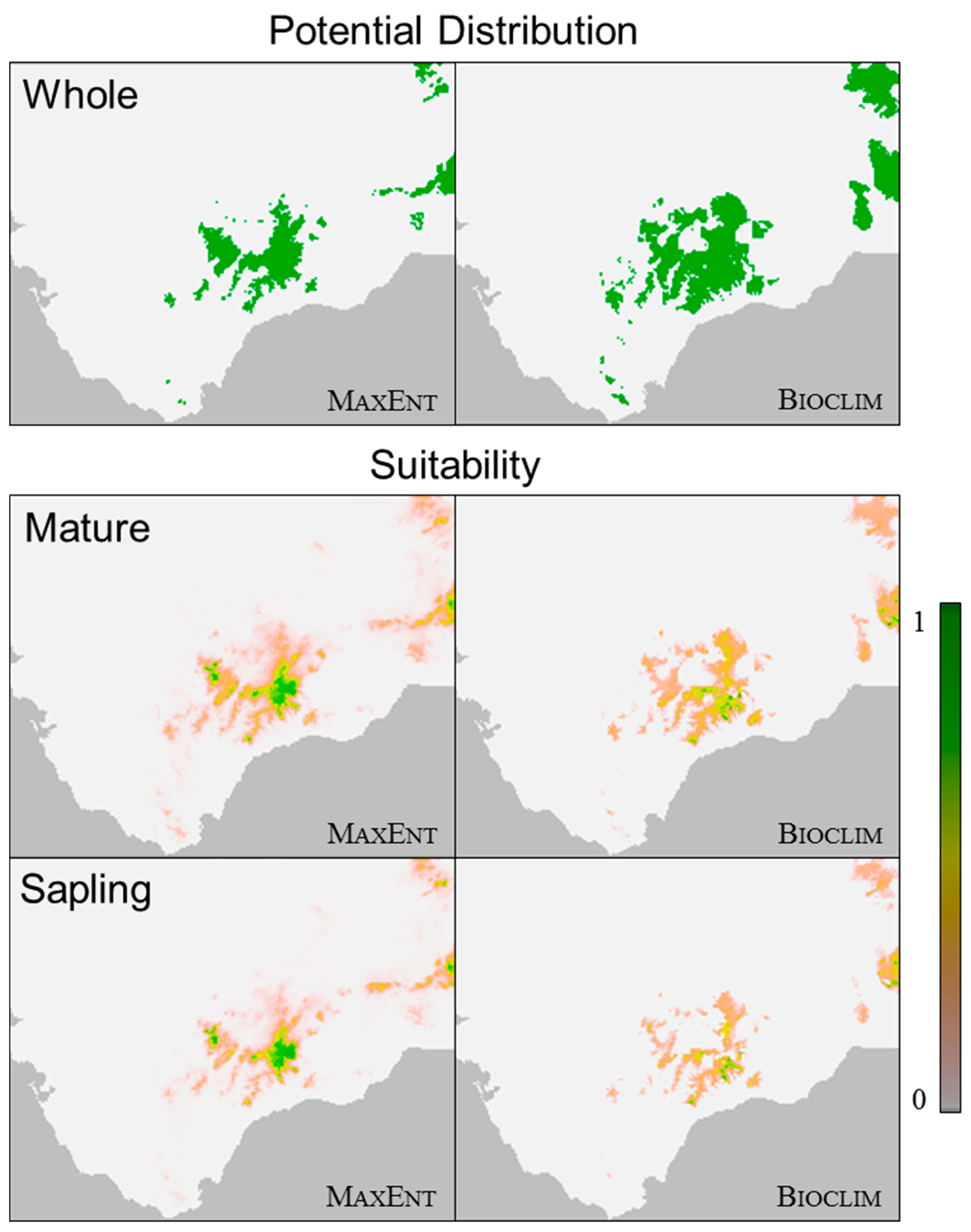 Forests 12 01451 g003