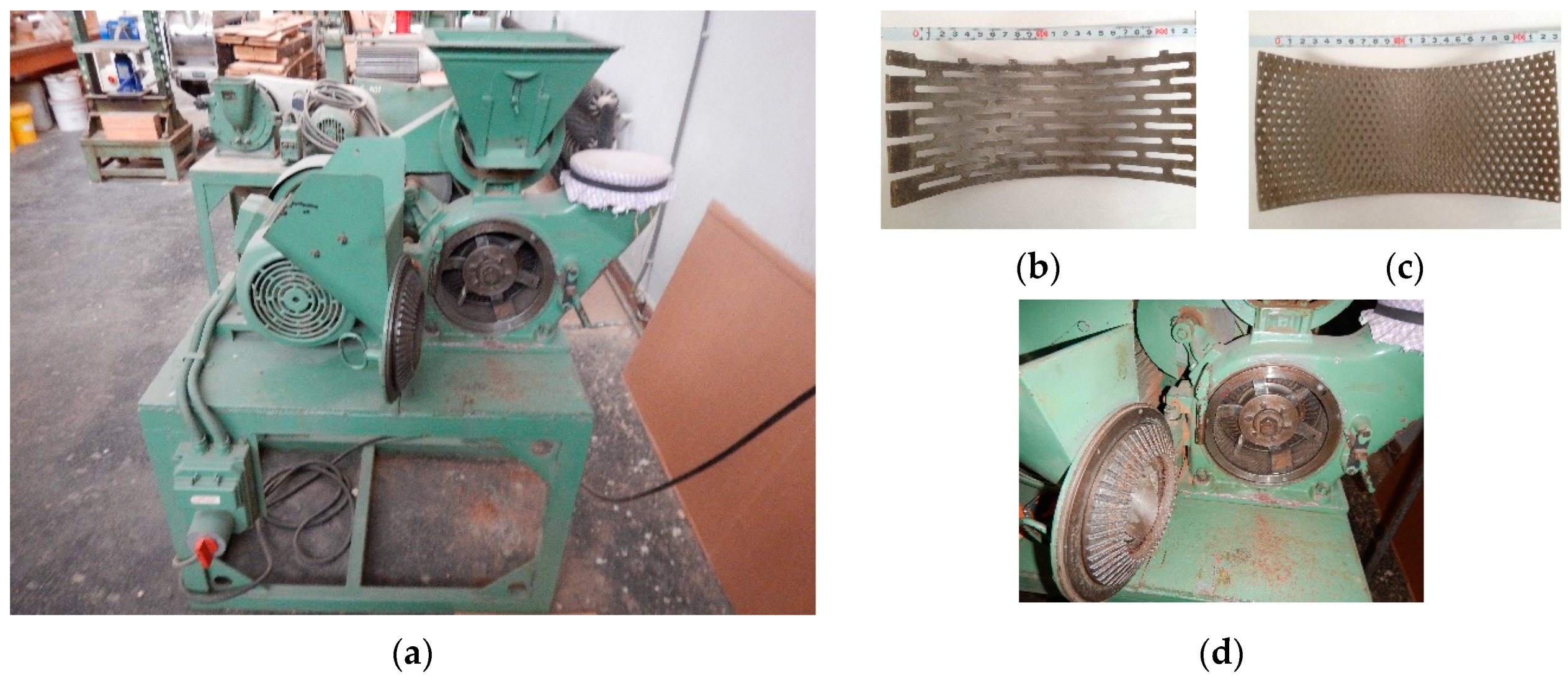 Forests 12 01462 g001