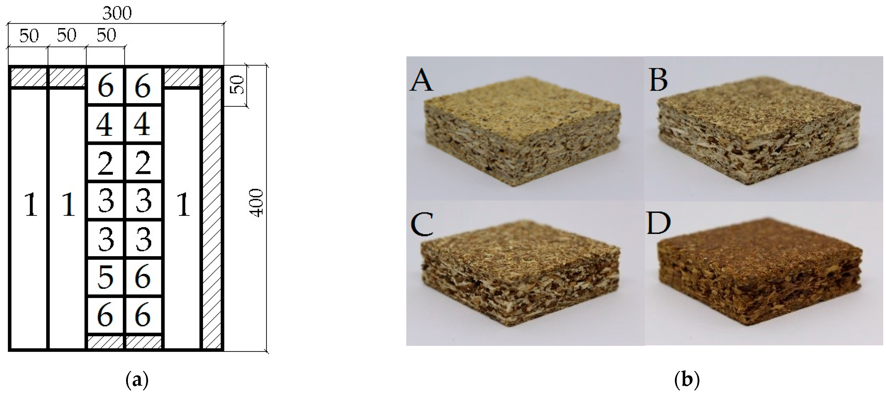 Forests 12 01462 g004