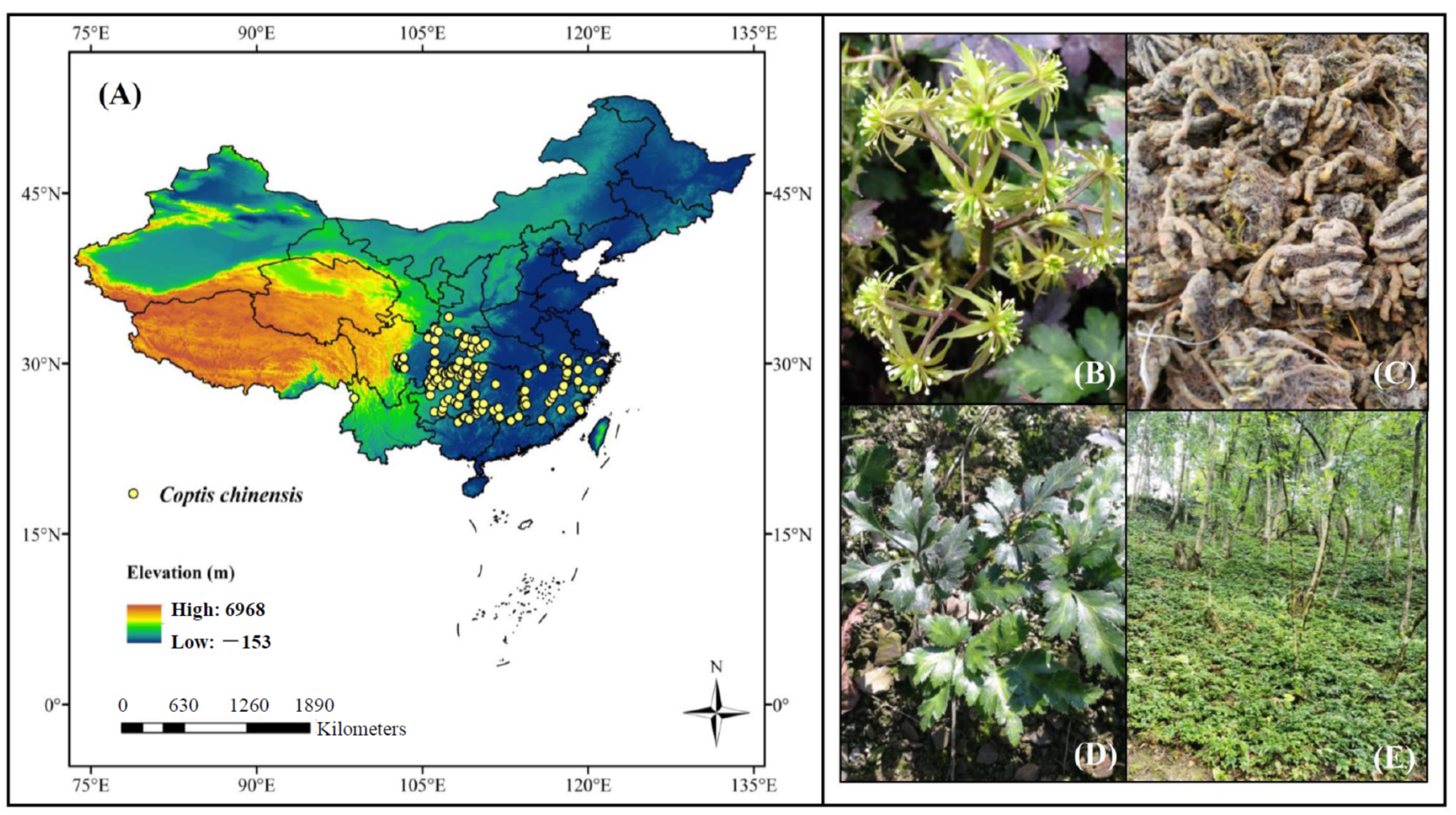 Forests 12 01464 g001
