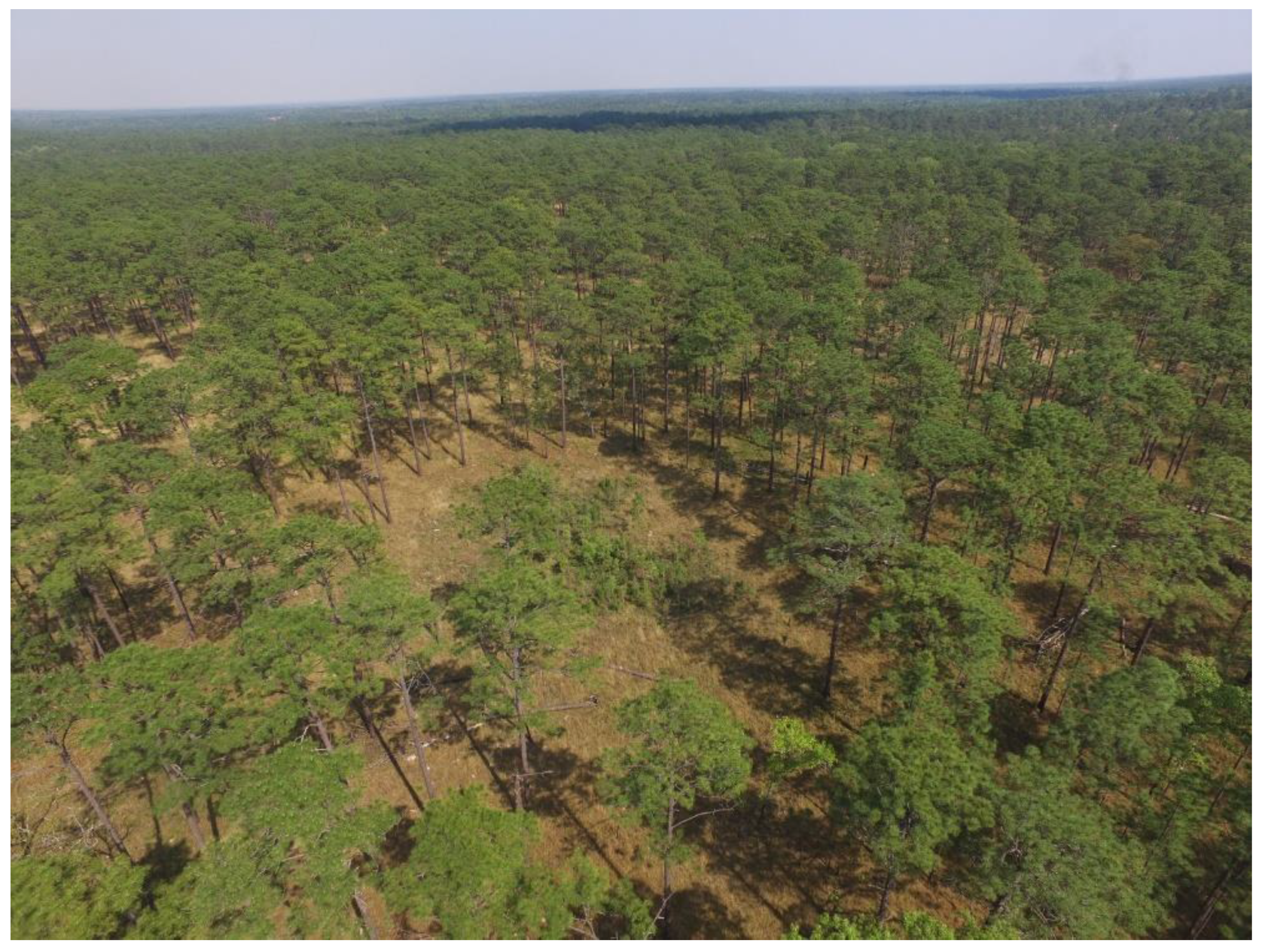 Forests 12 01472 g002