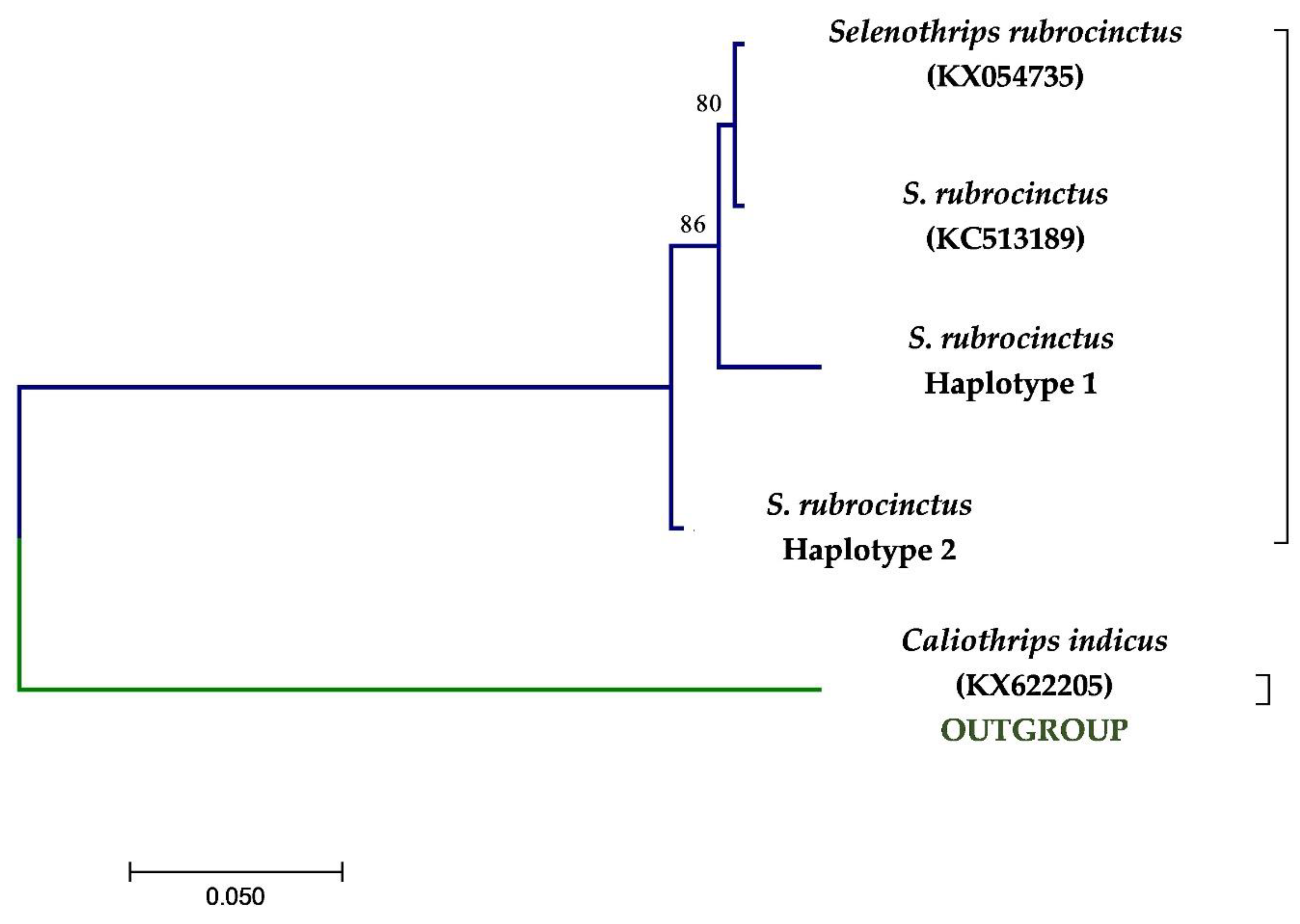 Forests 12 01484 g001