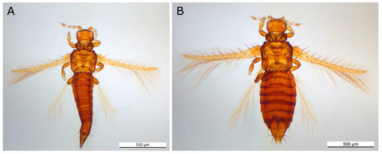 Forests 12 01484 g0a1