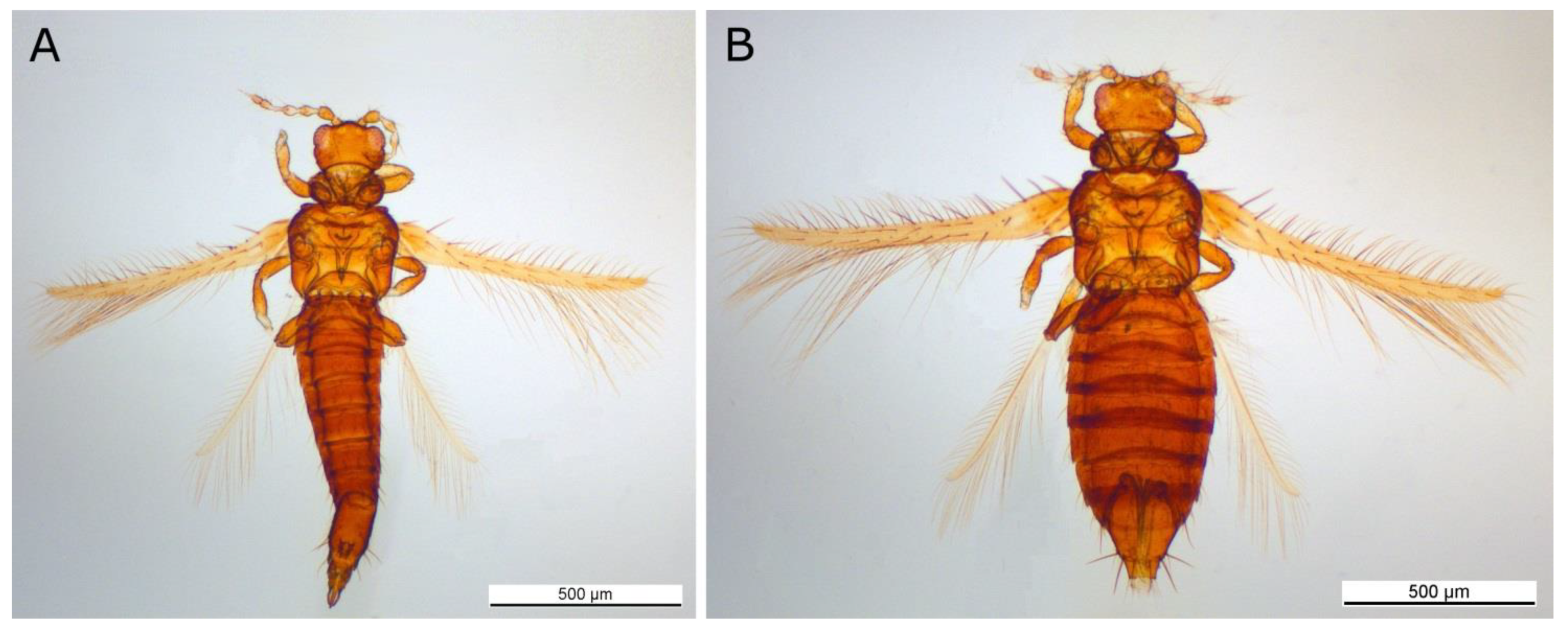 Forests 12 01484 g0a1