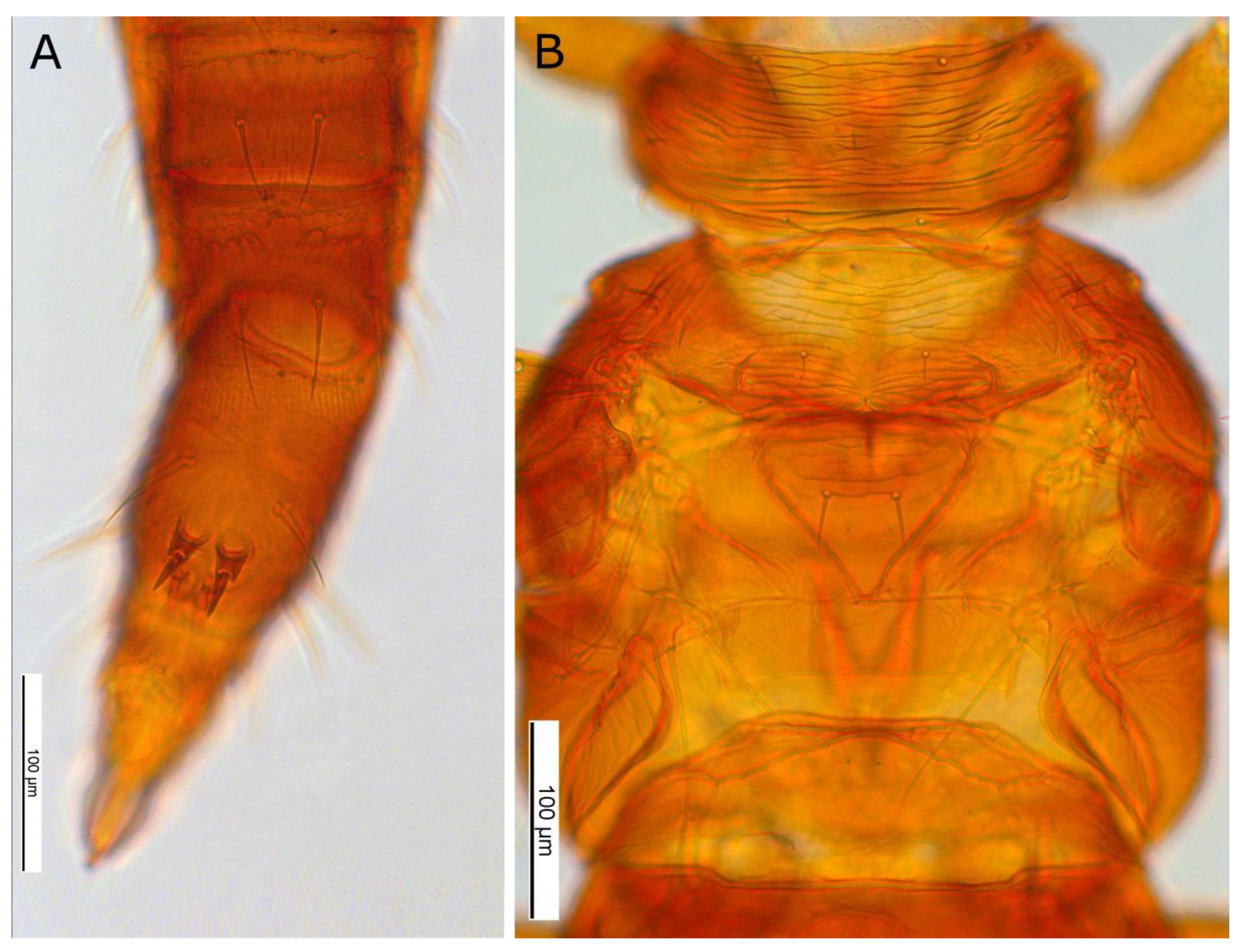Forests 12 01484 g0a2