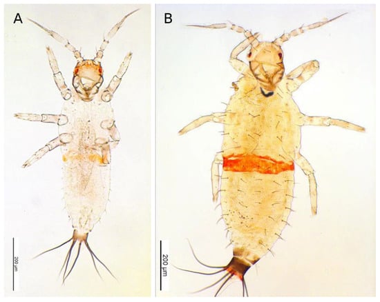 Forests 12 01484 g0a3