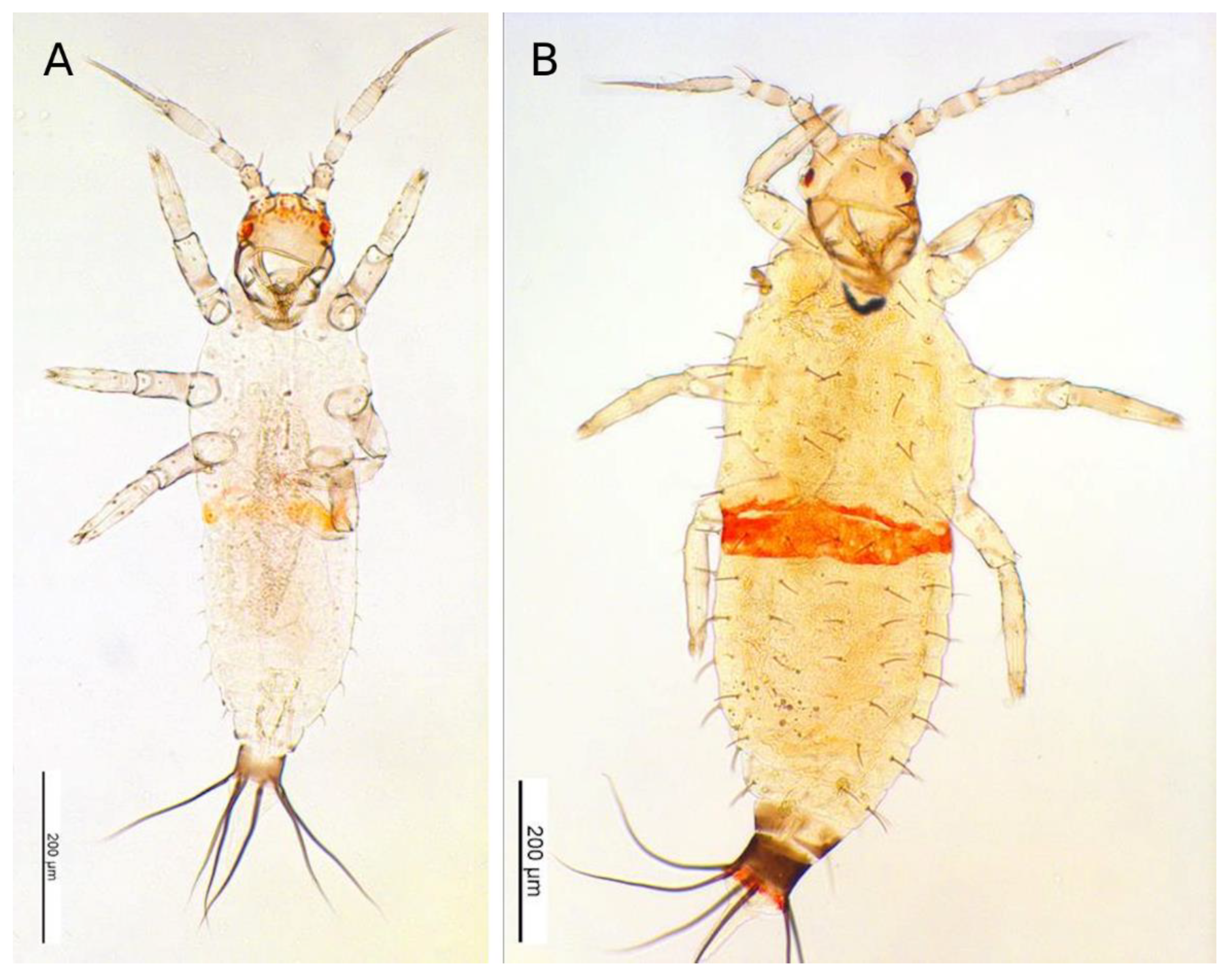 Forests 12 01484 g0a3