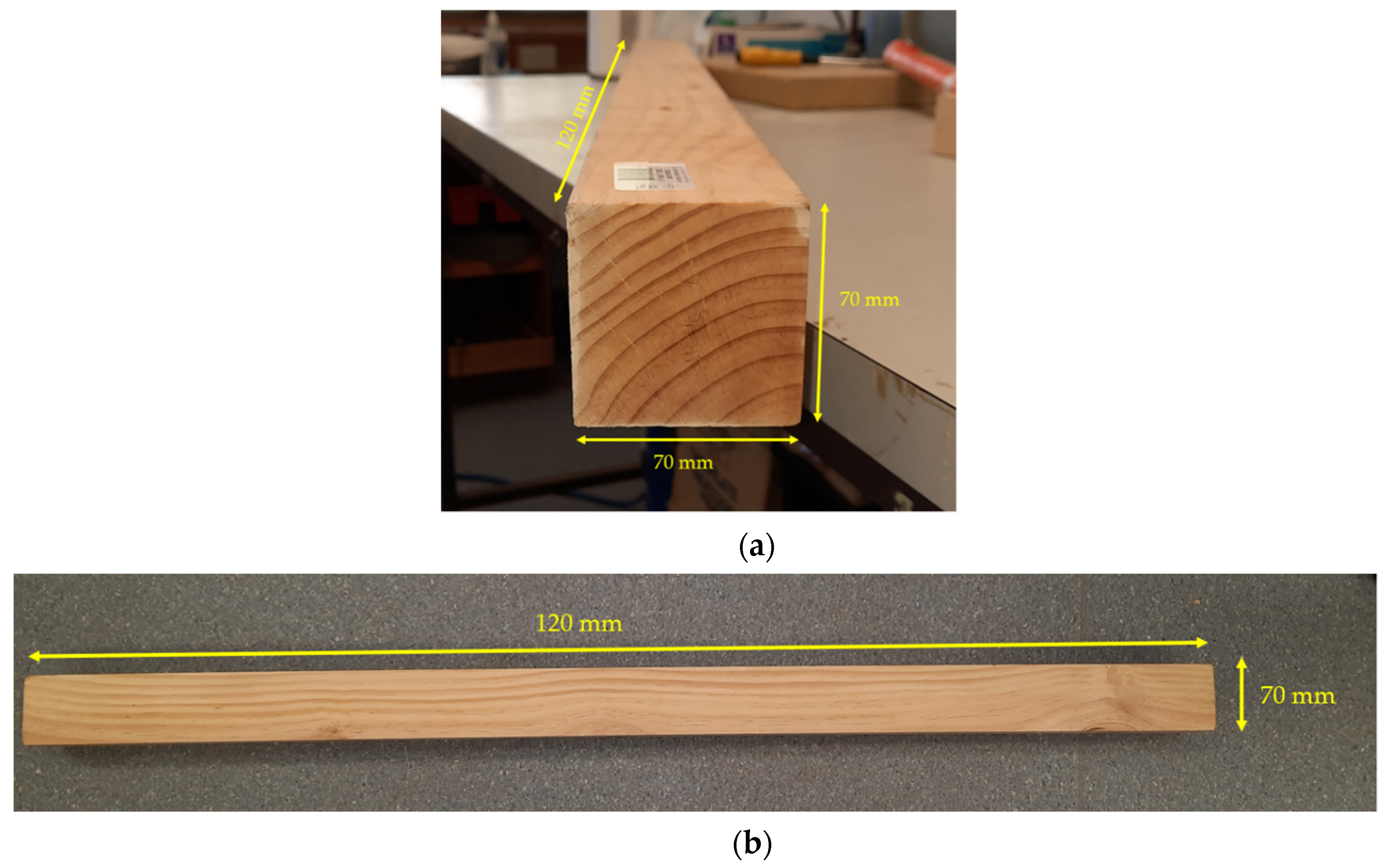 Forests 12 01486 g002