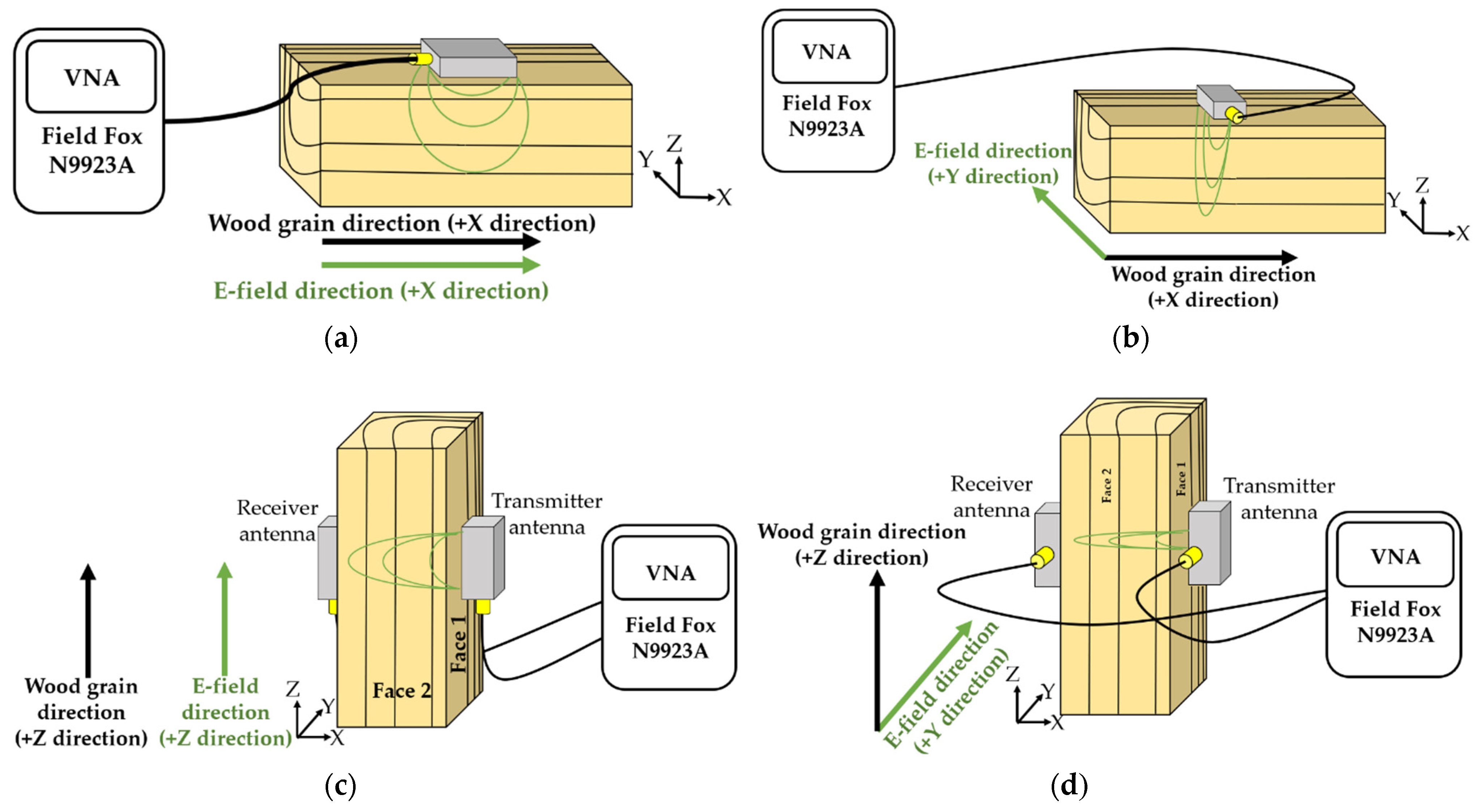 Forests 12 01486 g003