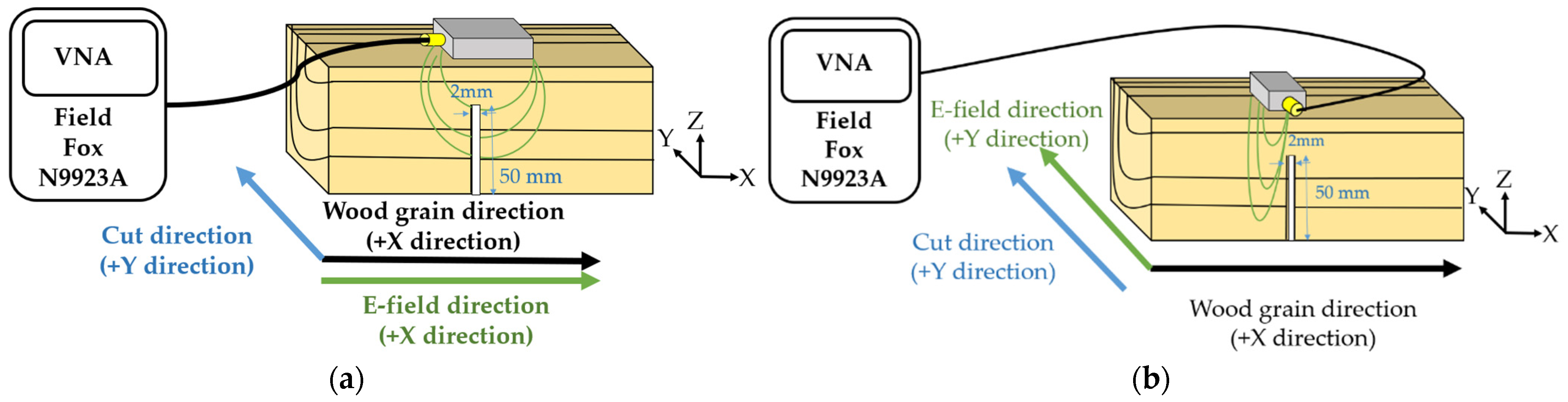 Forests 12 01486 g012