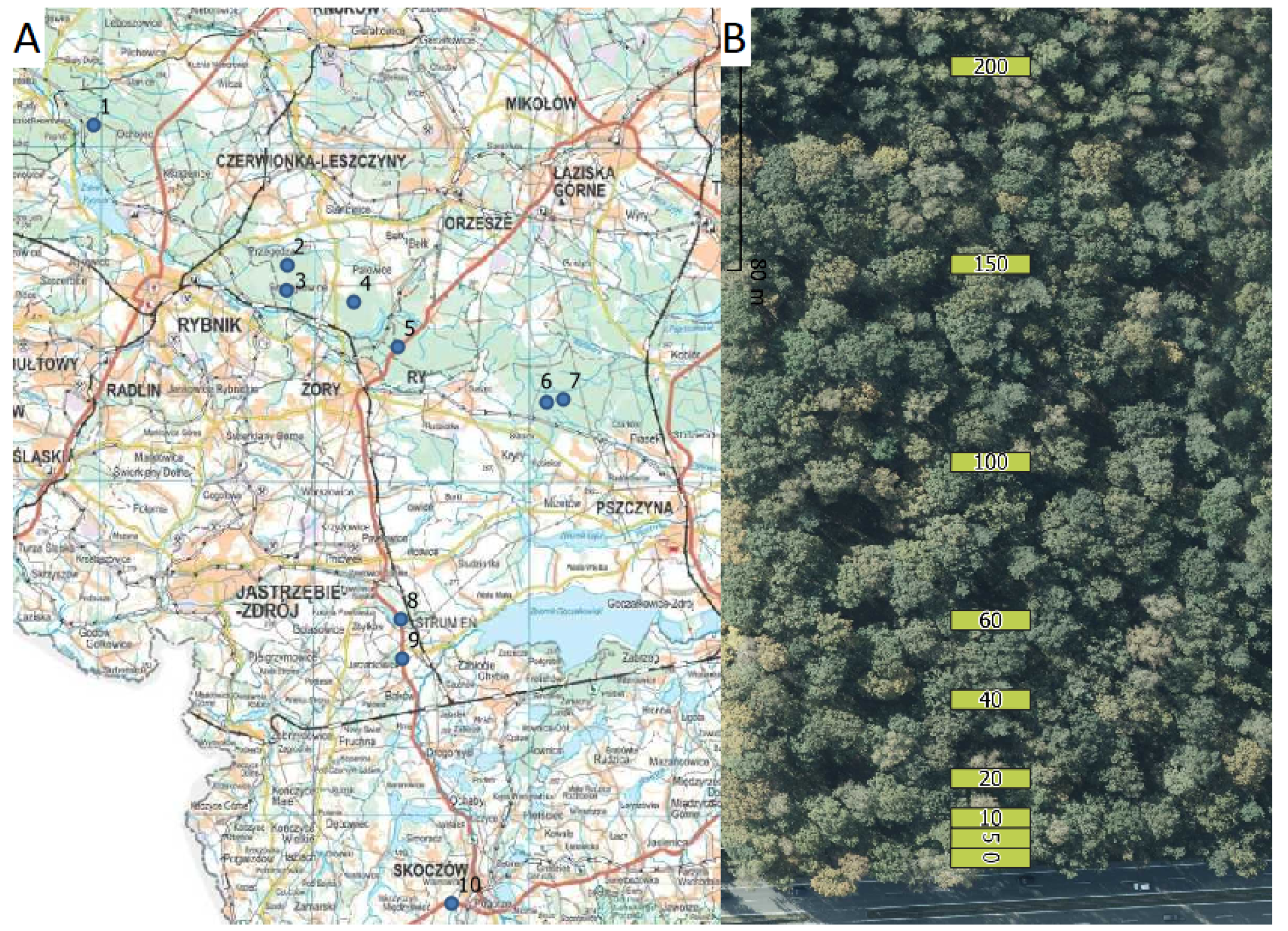 Forests 12 01490 g001