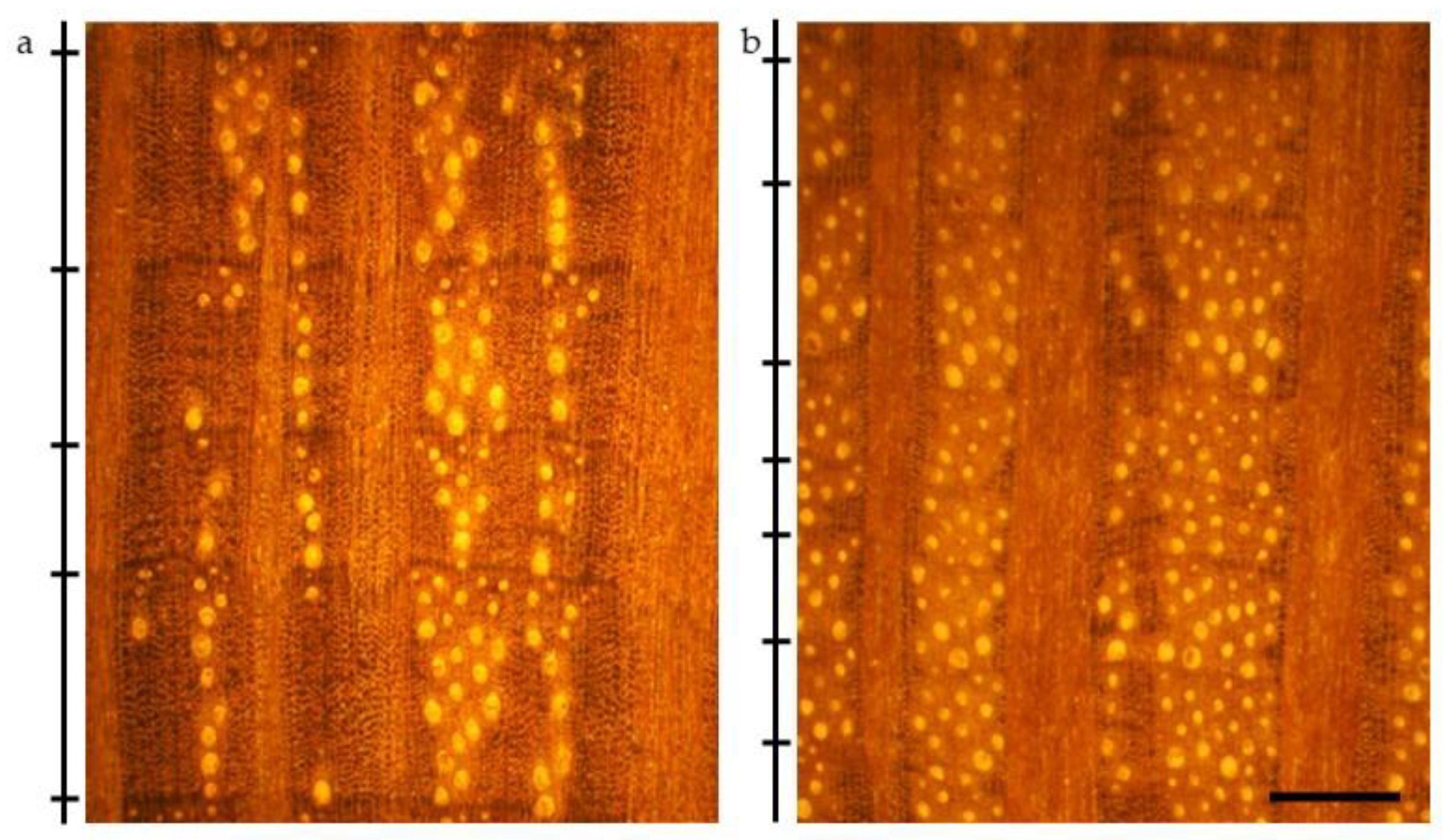 Forests 12 01499 g001