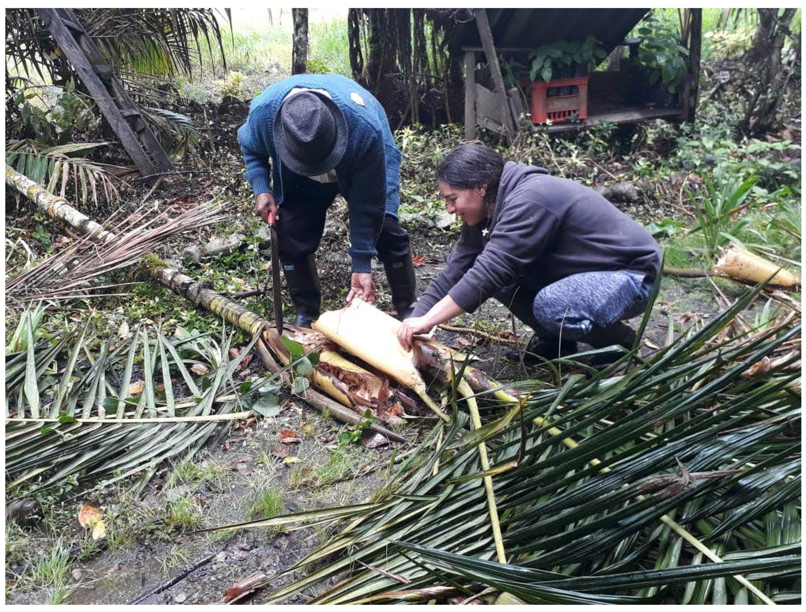 Forests 12 01503 g005