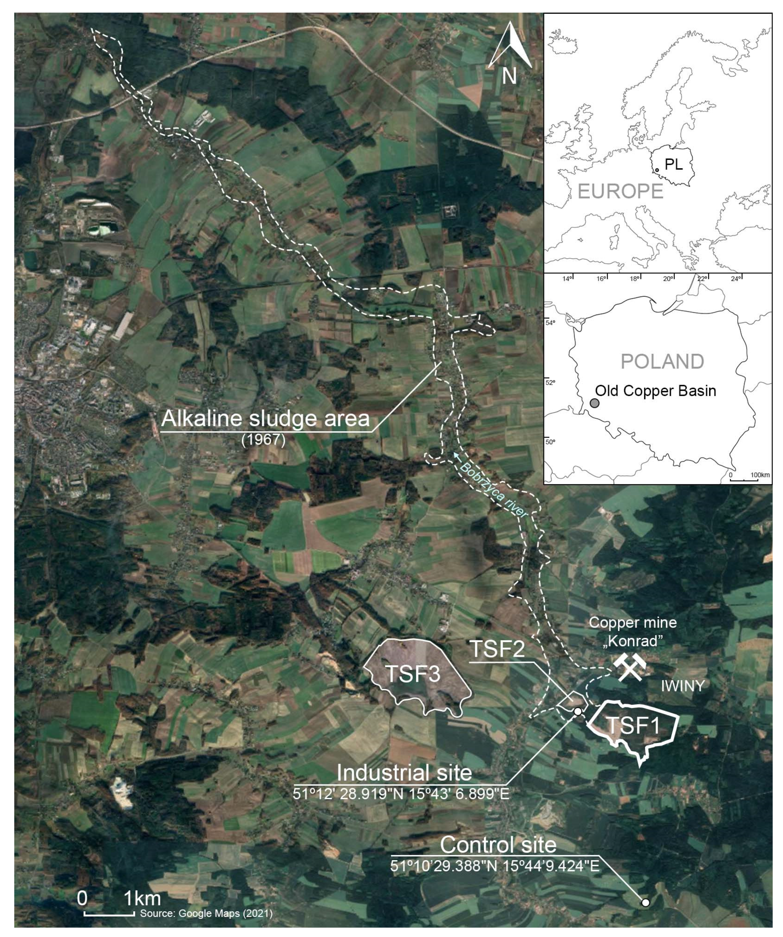 Forests 12 01505 g001