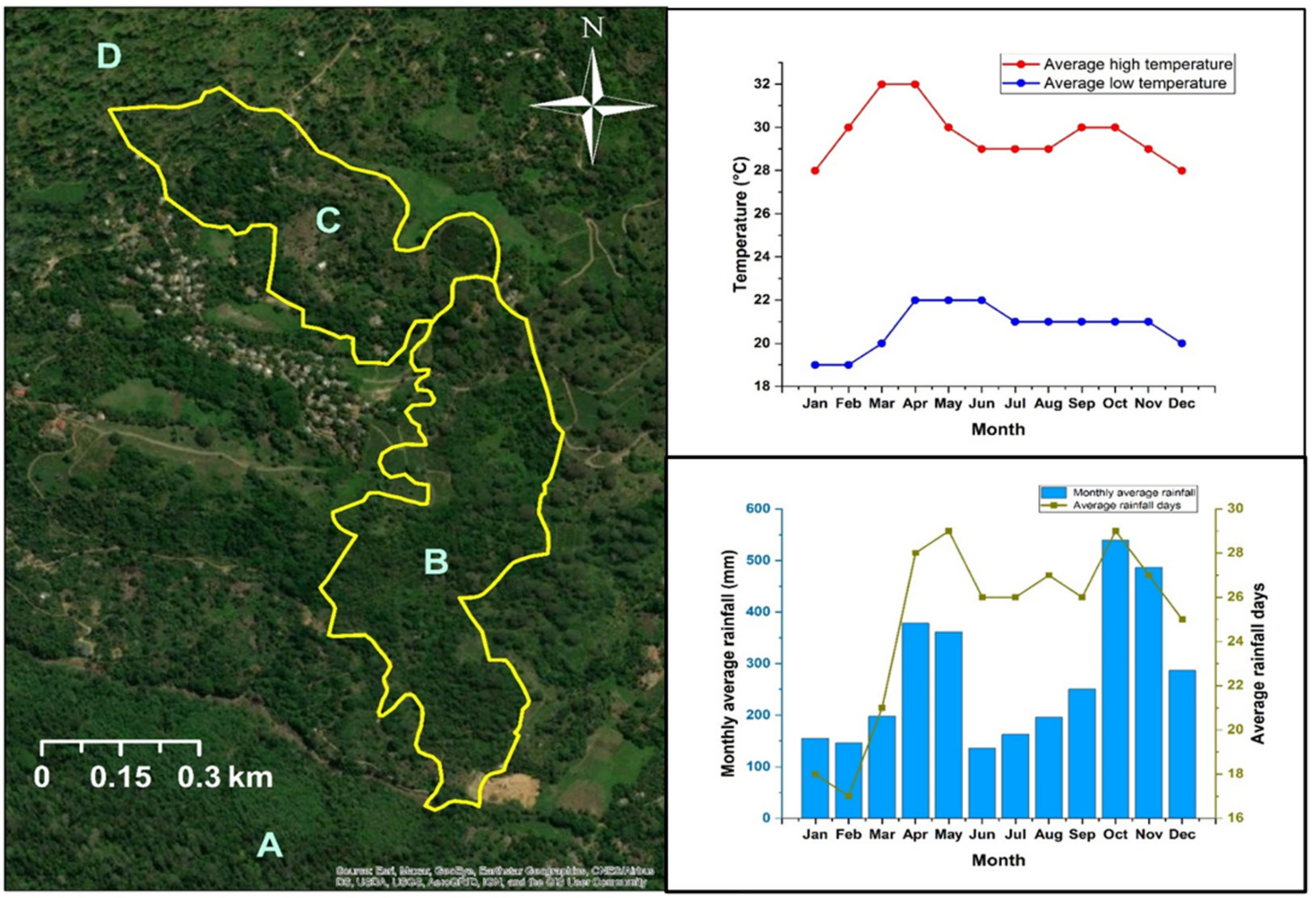 Forests 12 01506 g001