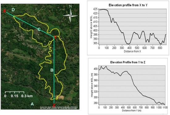 Forests 12 01506 g0a1 550
