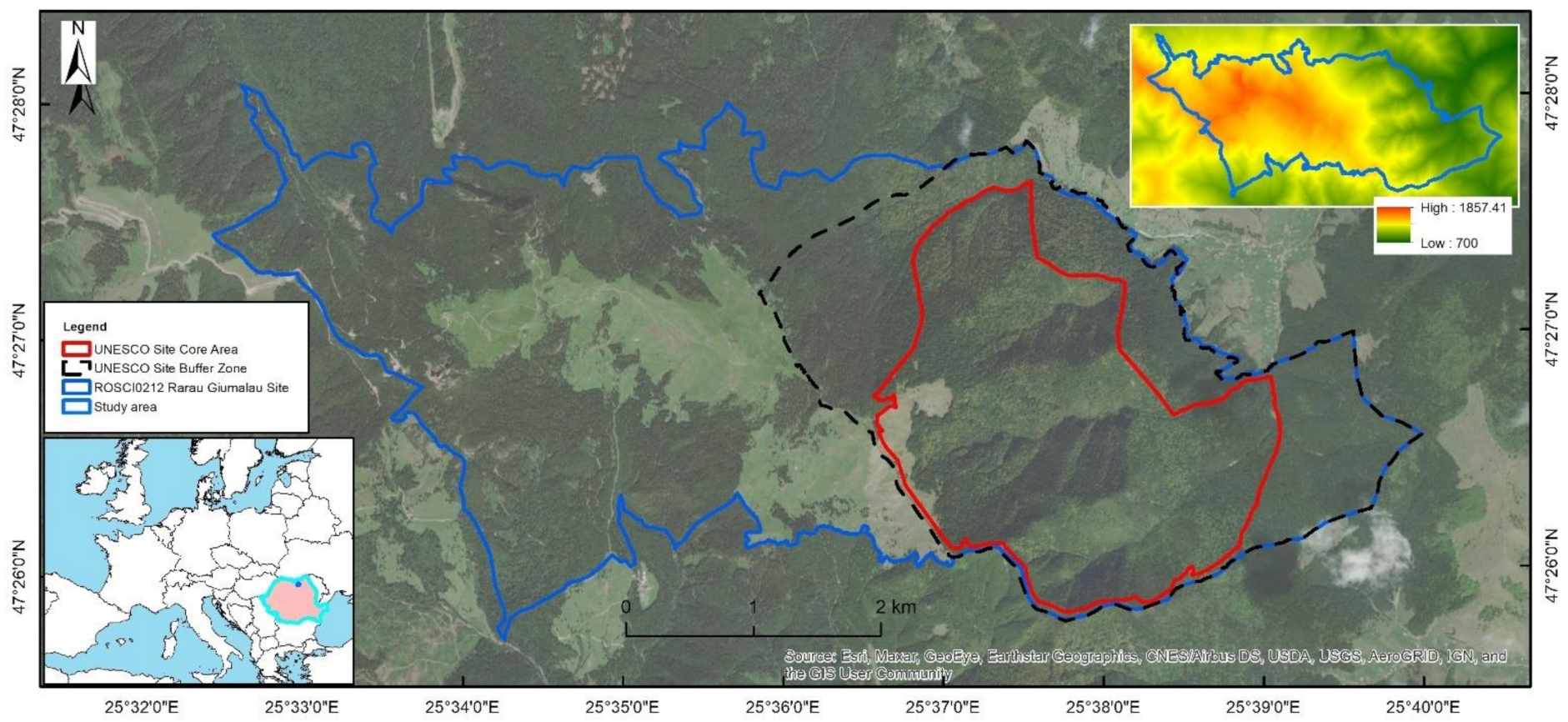 Forests 12 01507 g001