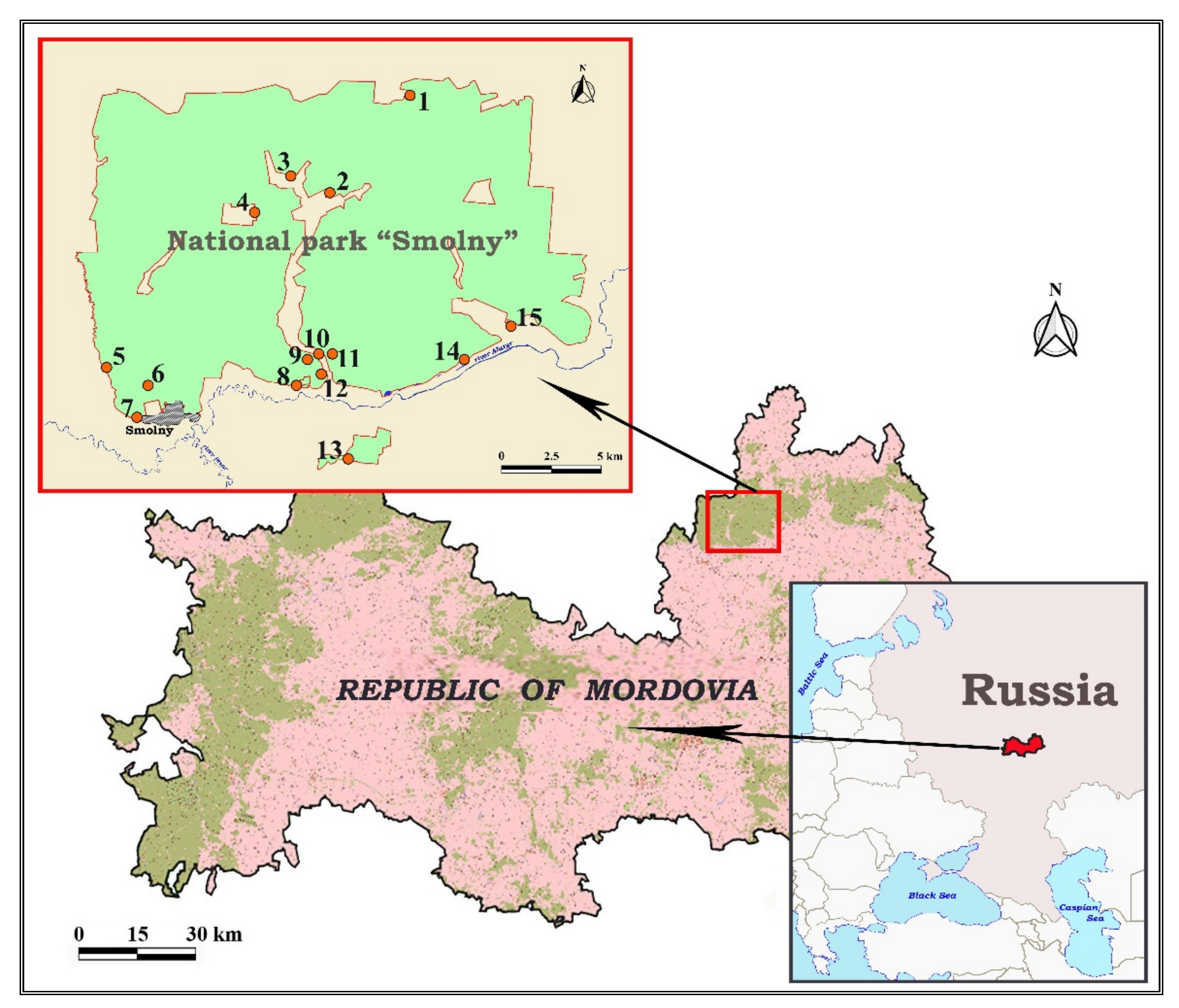 Forests 12 01510 g001