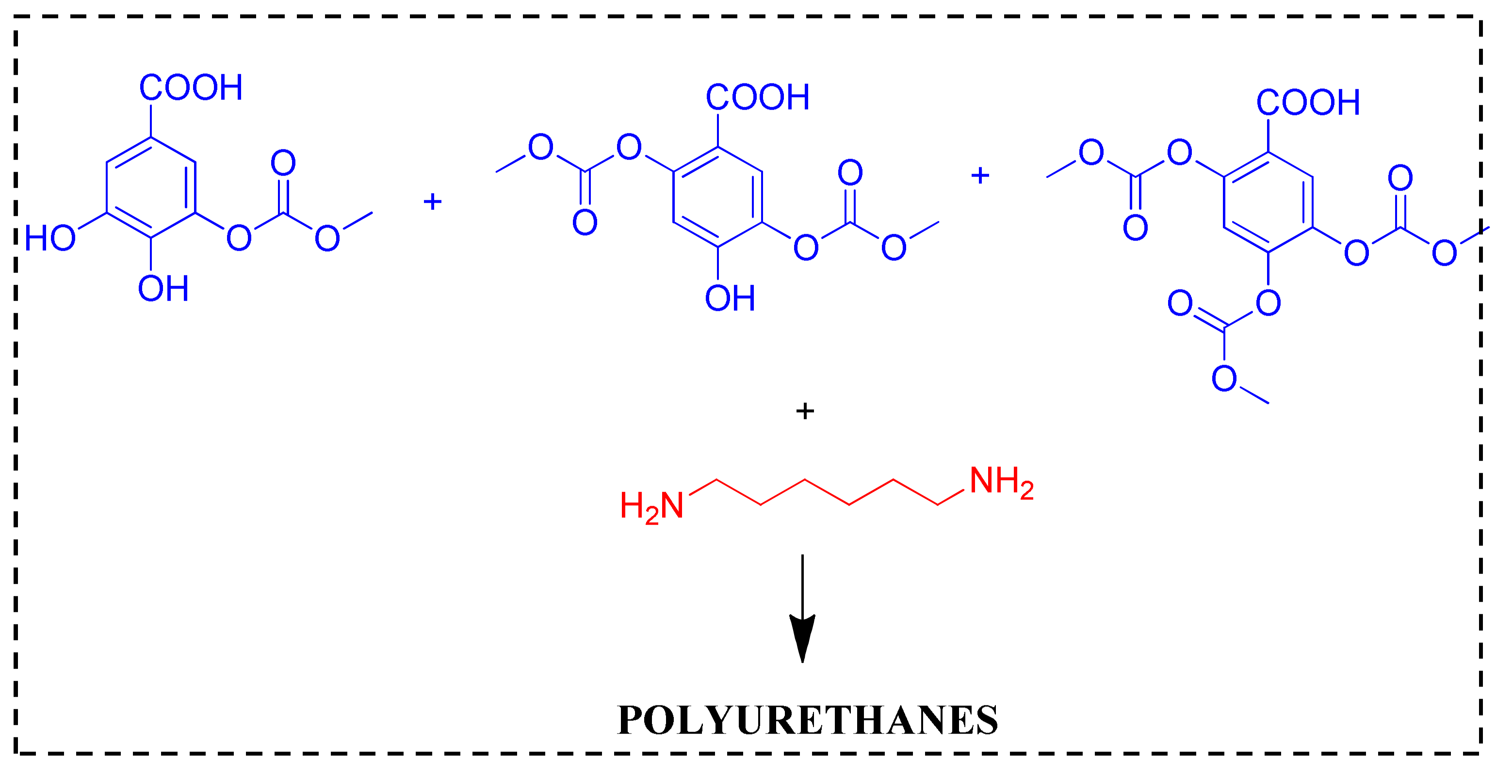 Forests 12 01516 g005