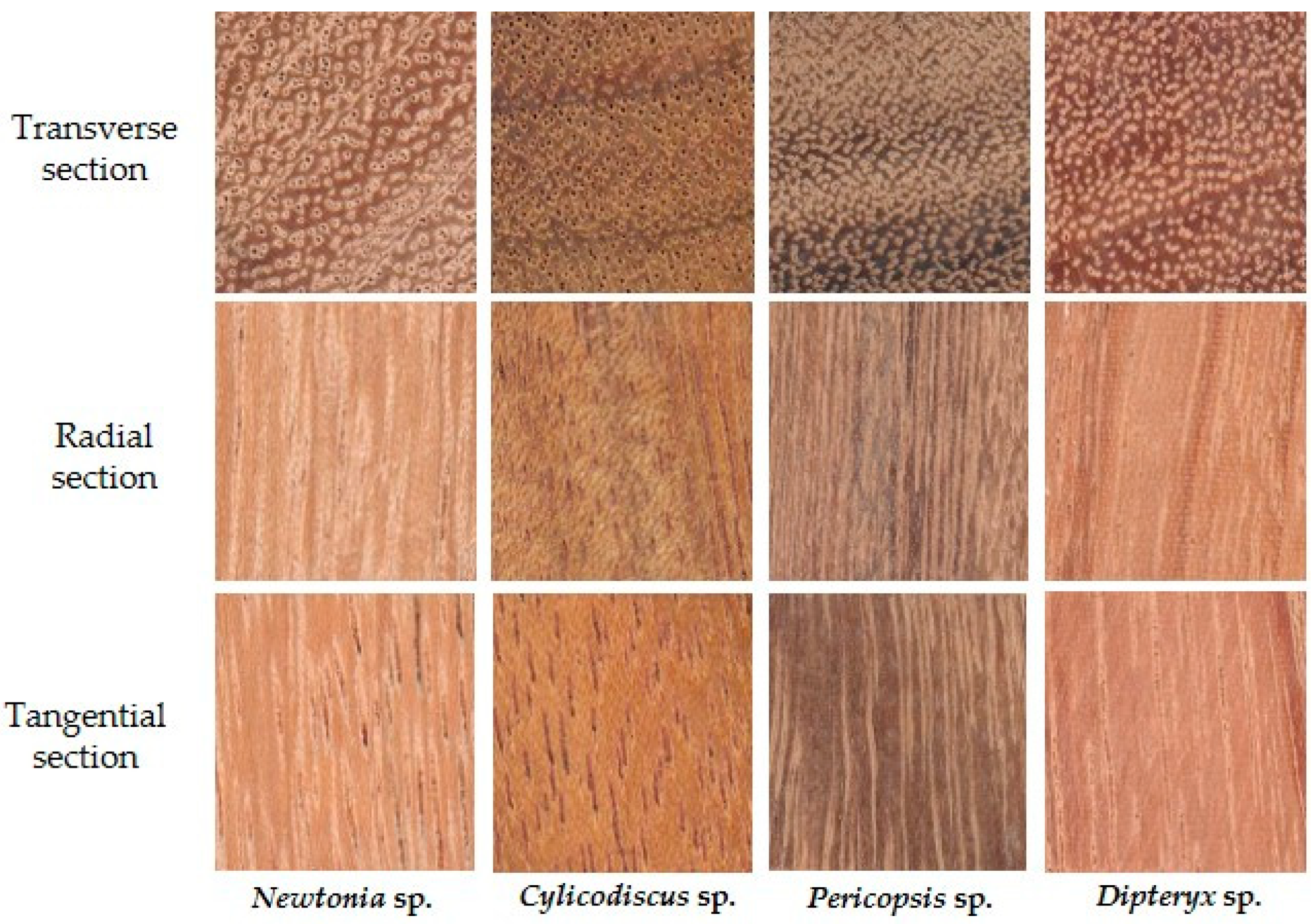 Forests 12 01527 g002