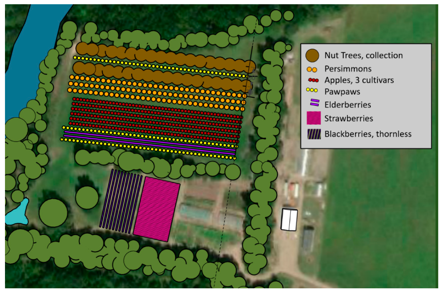 Forests 12 01533 g002 Forests 12 01533 g002