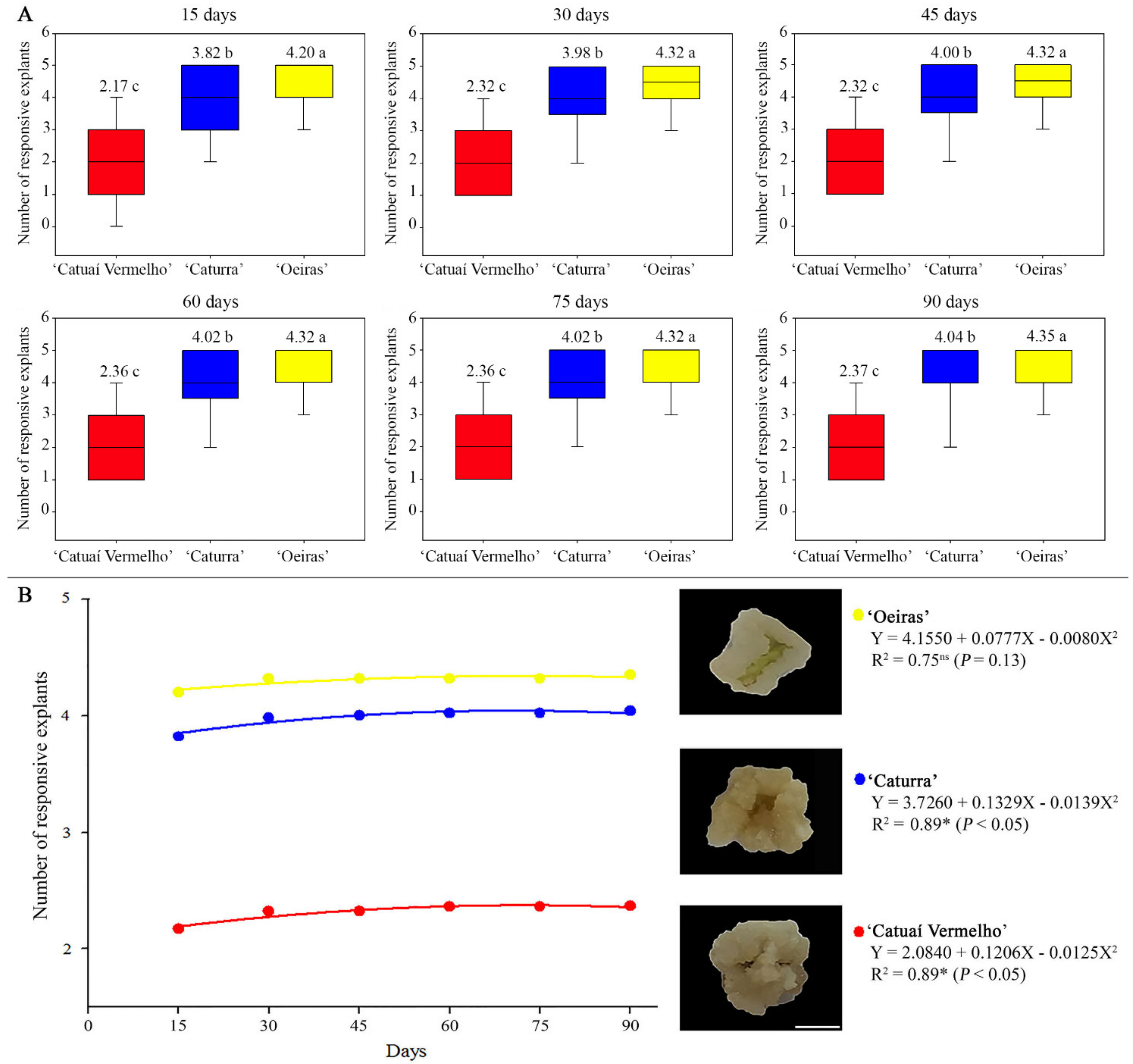 Forests 12 01536 g001