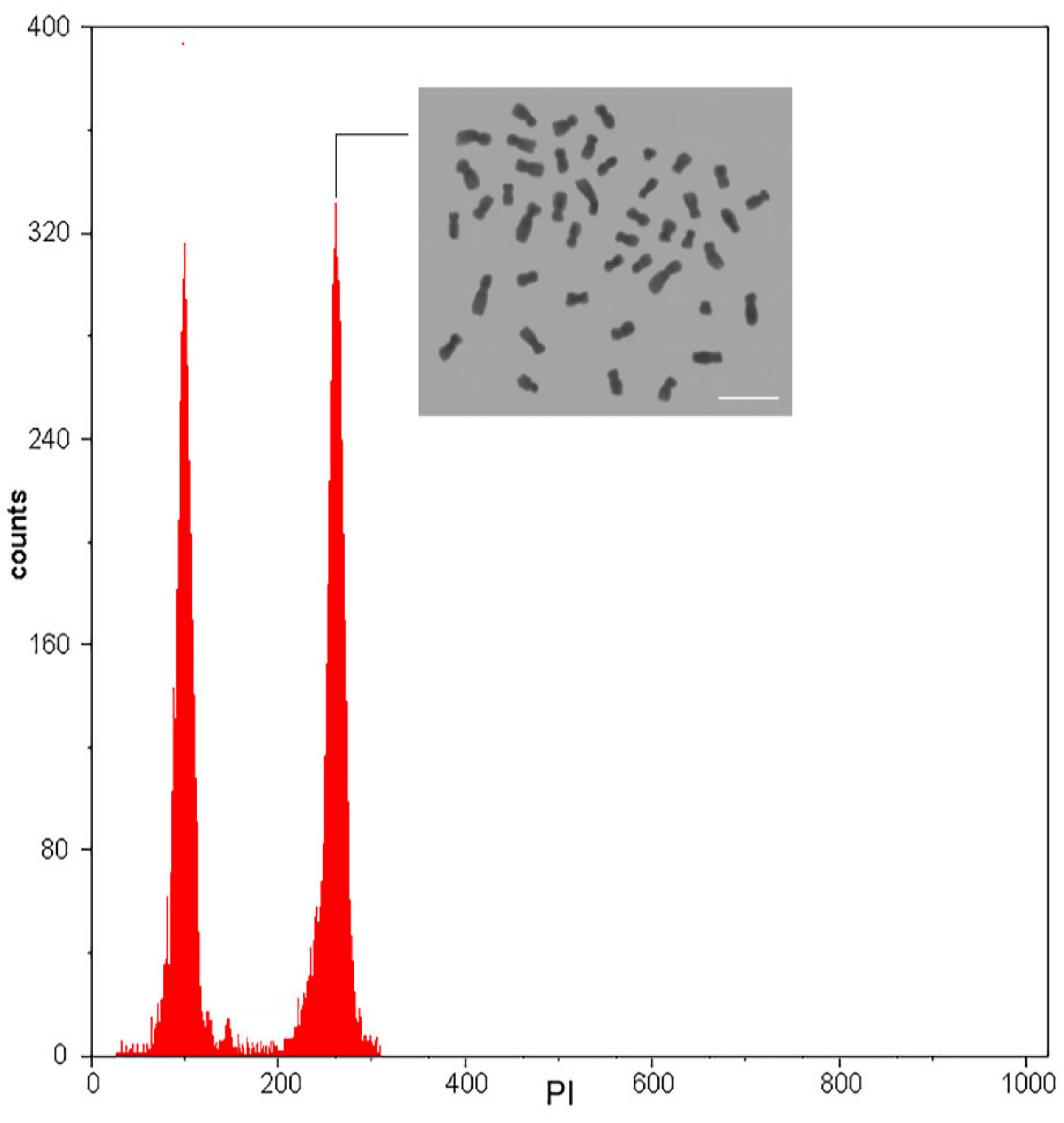 Forests 12 01536 g005