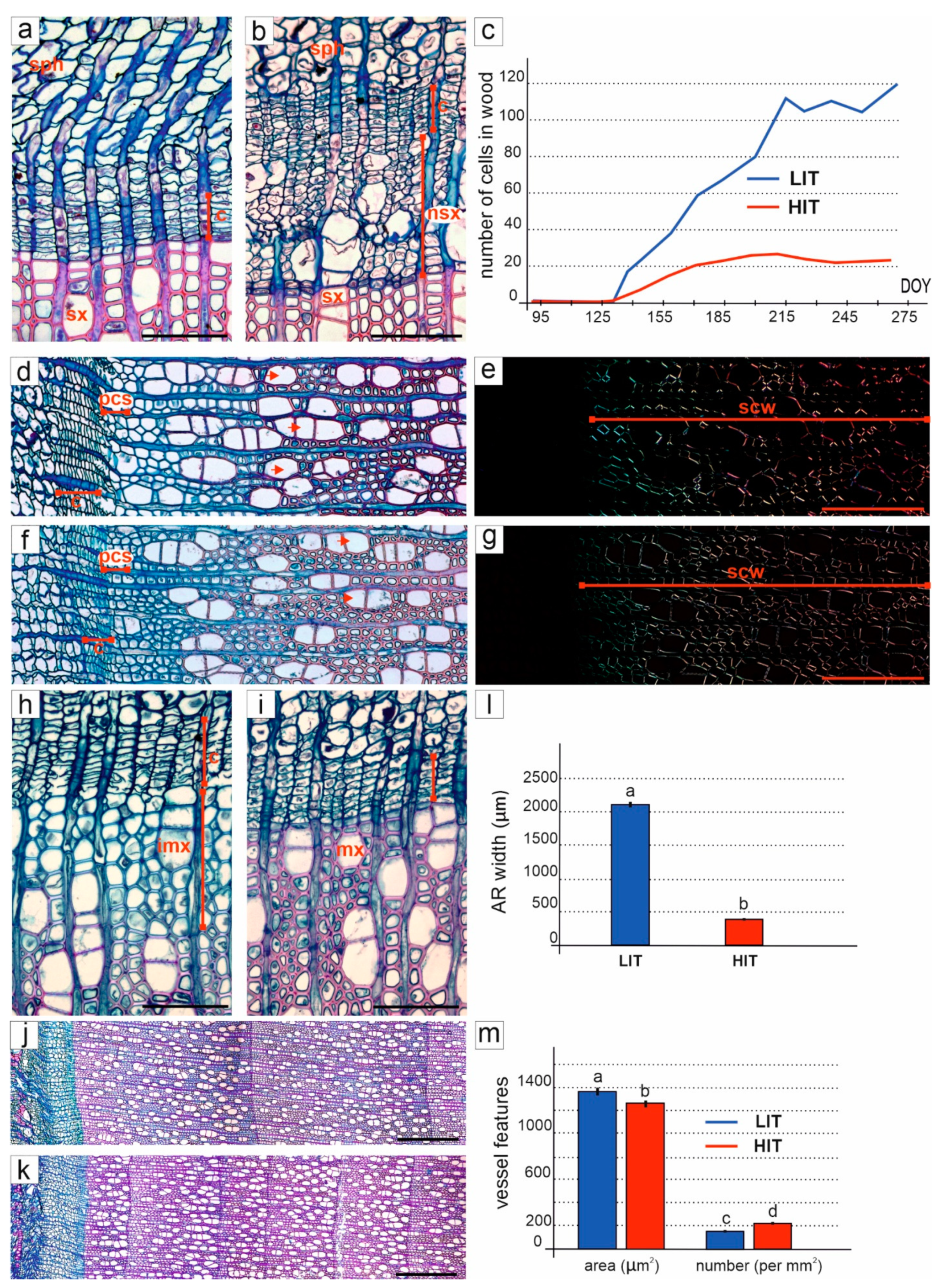 Forests 12 01537 g005