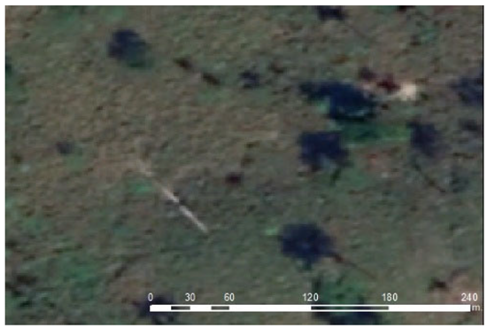 Forests 12 01539 i003