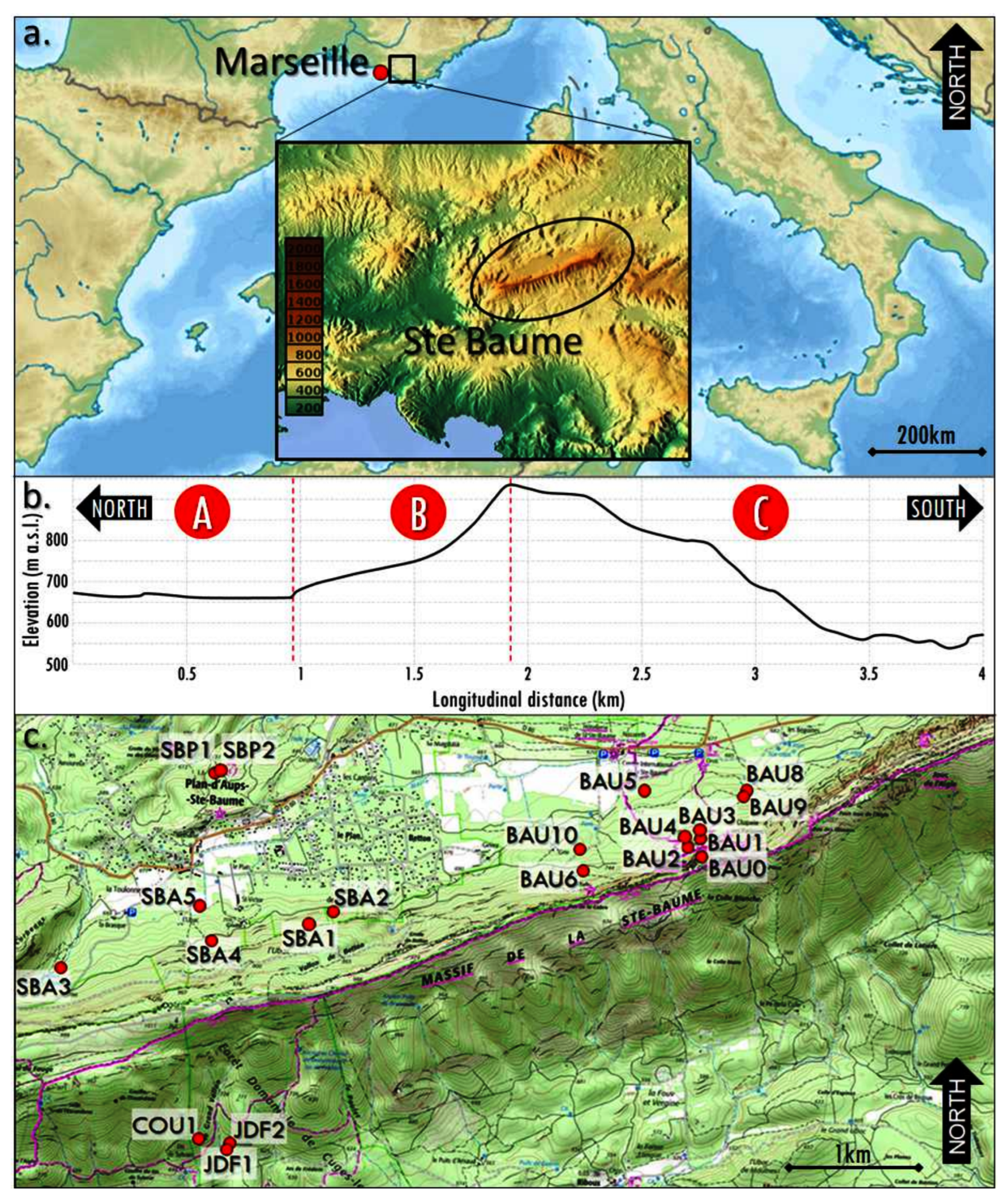 Forests 12 01541 g001