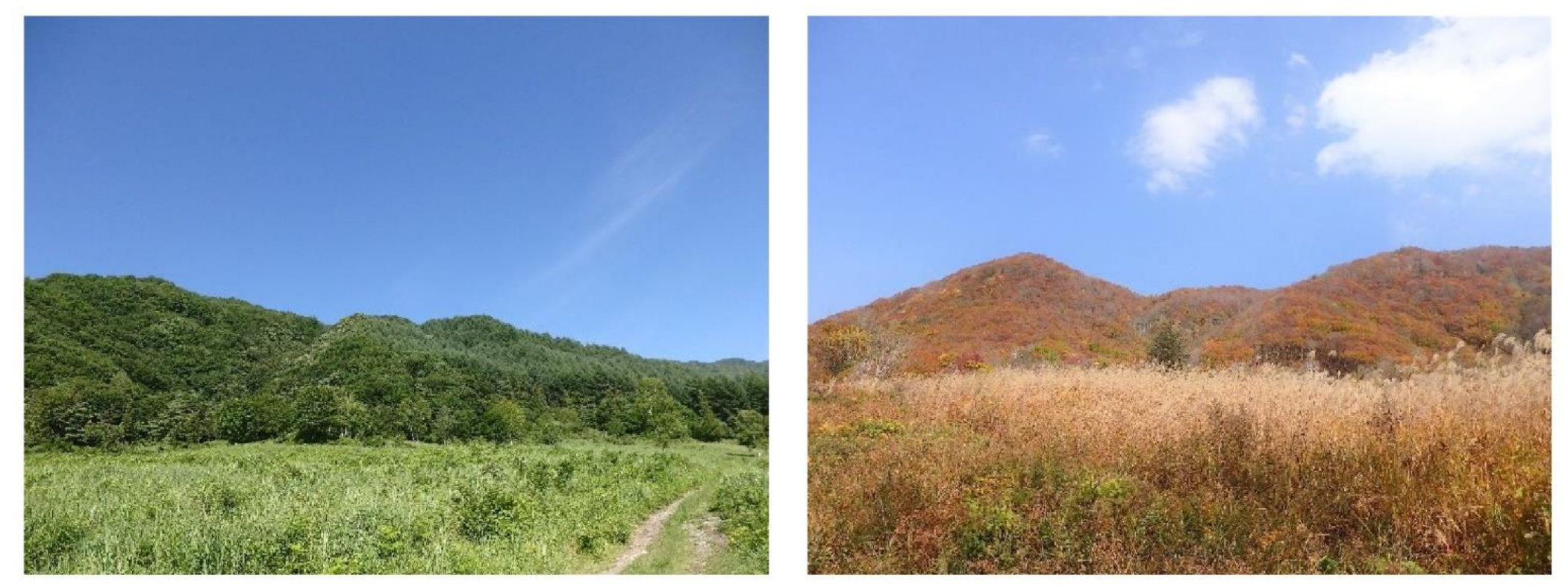 Forests 12 01546 g002