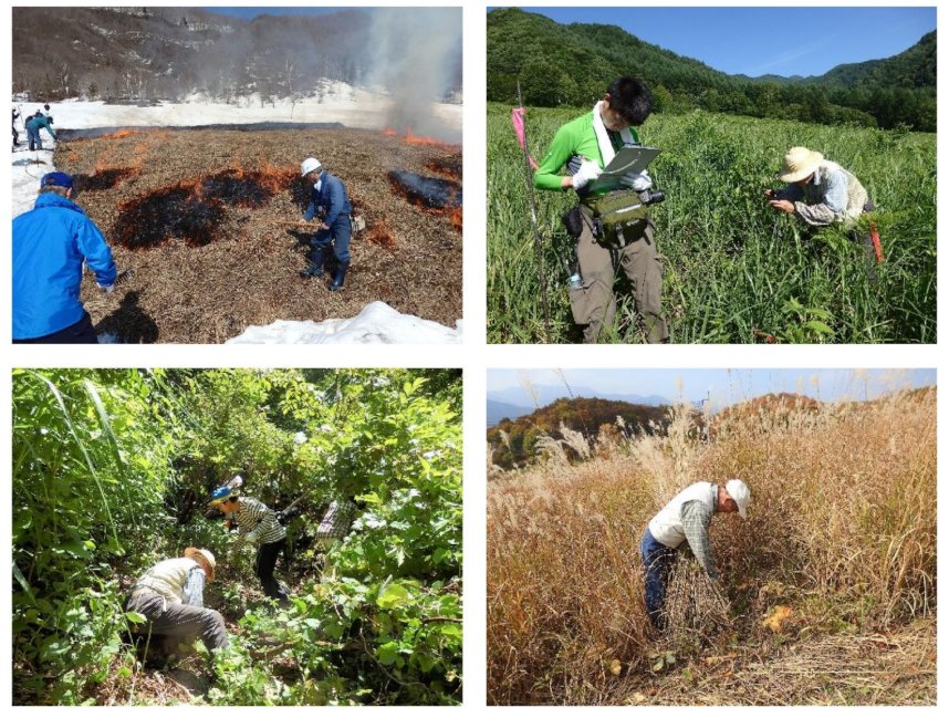 Forests 12 01546 g003