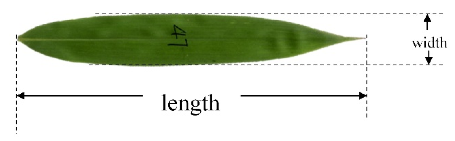Forests 12 01554 g001