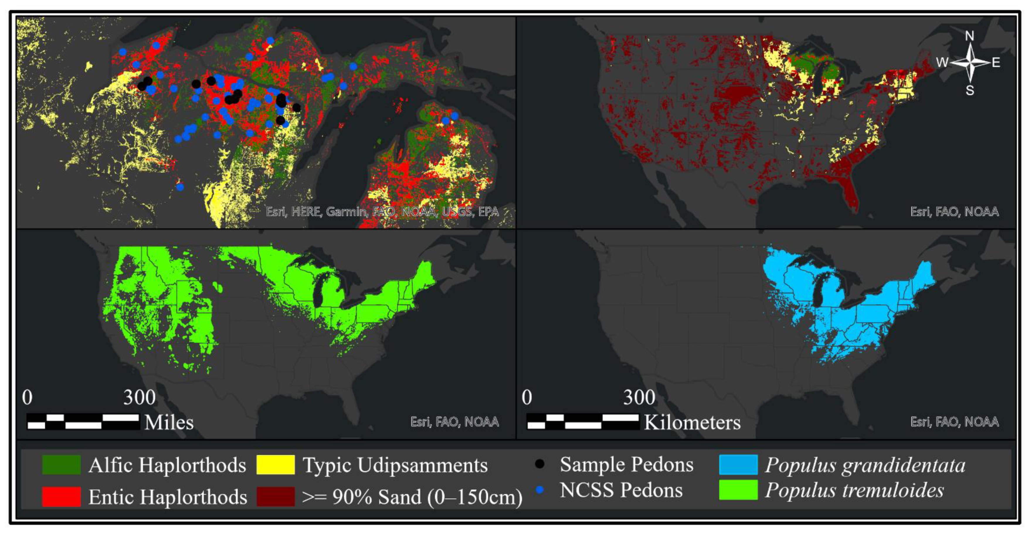Forests 12 01556 g001