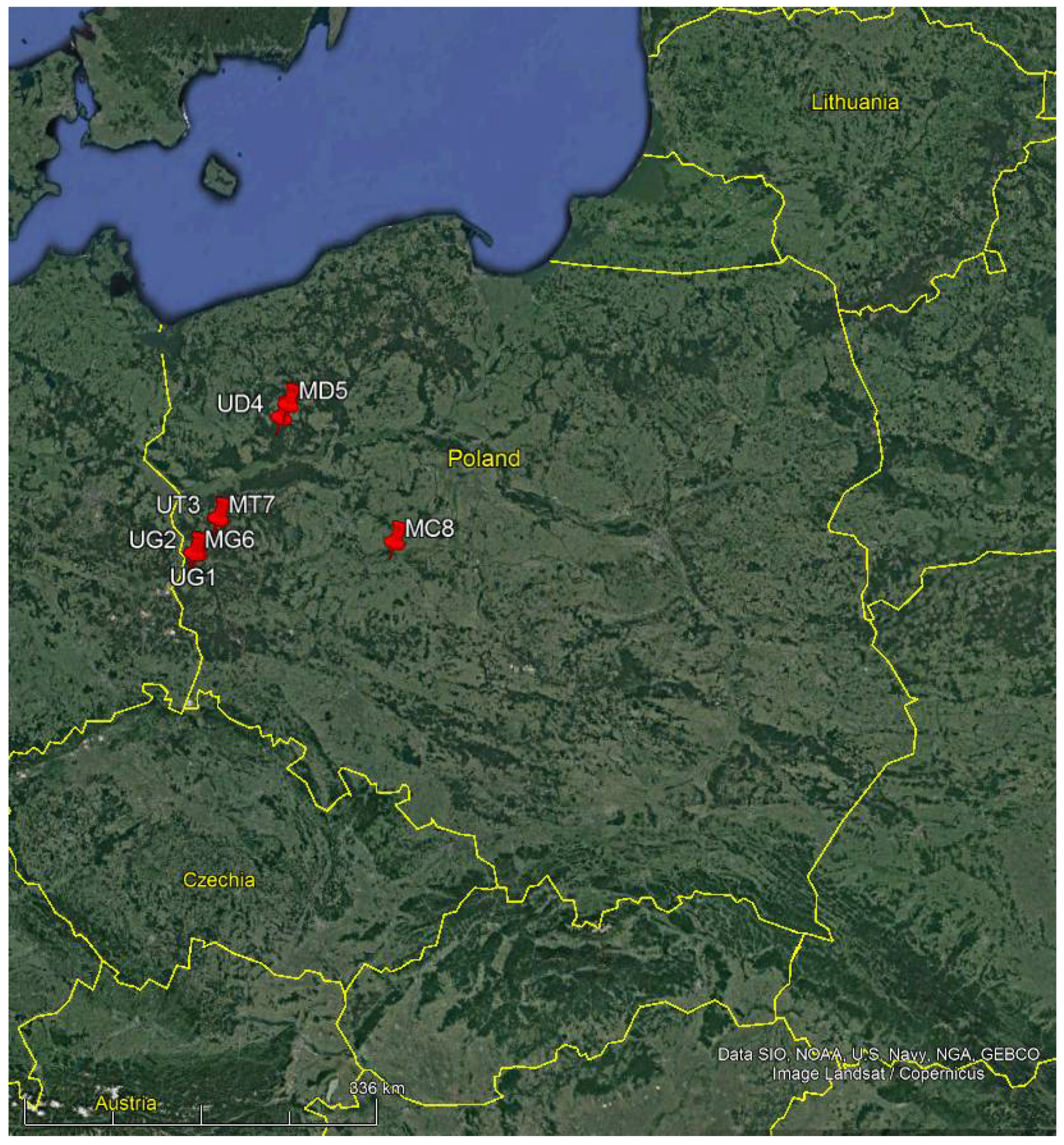 Forests 12 01558 g001