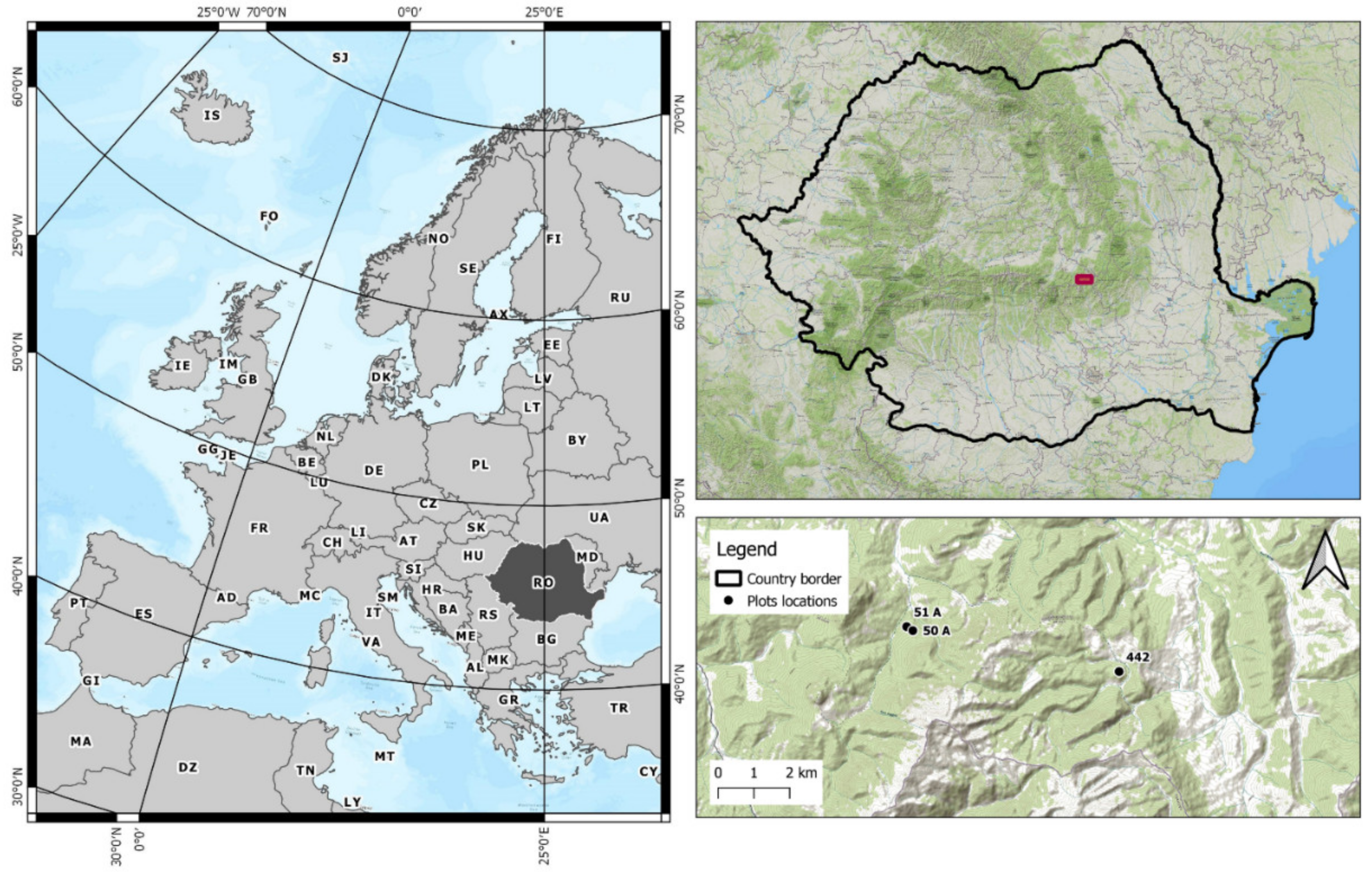 Forests 12 01576 g001
