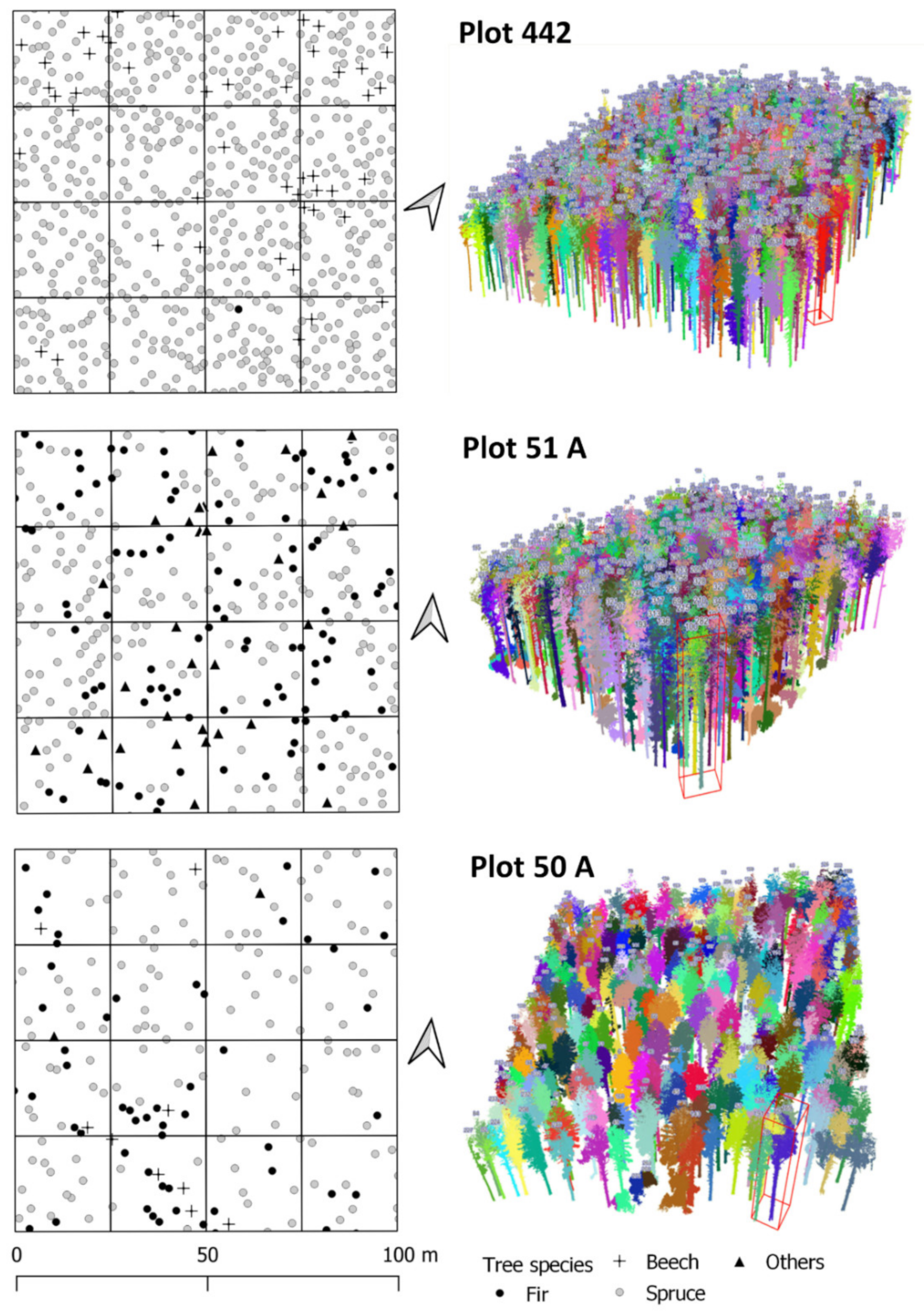 Forests 12 01576 g003